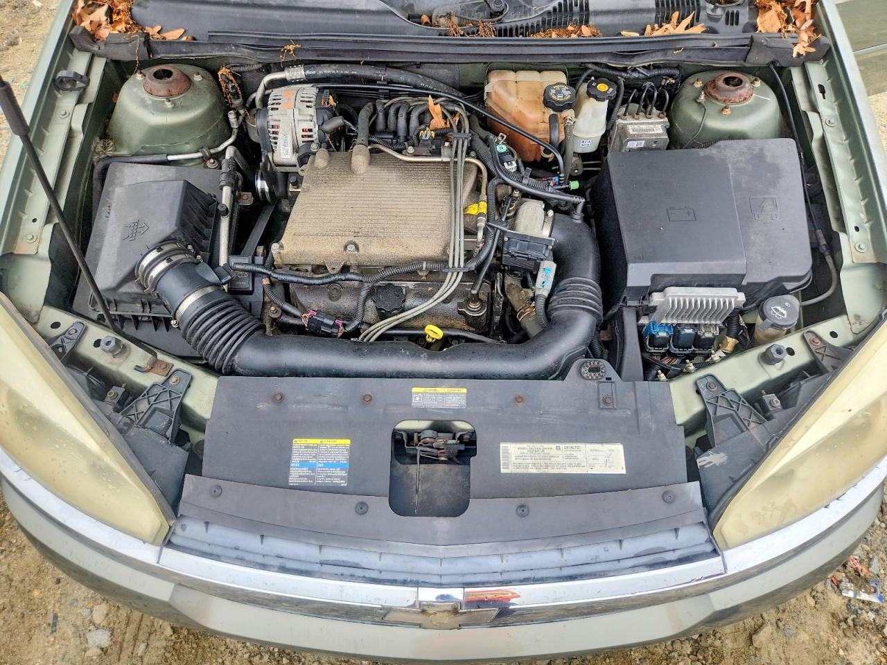 2004 Chevrolet Malibu Maxx Ls Green vin: 1G1ZT64894F195769