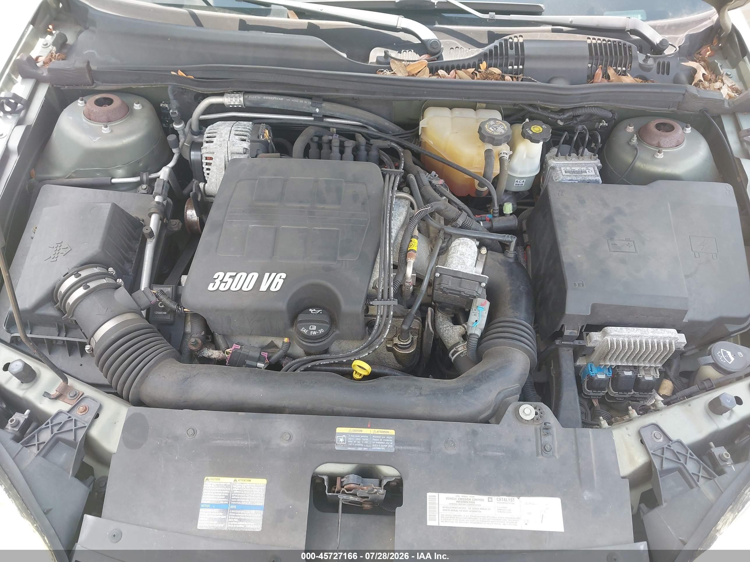 2005 Chevrolet Malibu Maxx Lt Green vin: 1G1ZU648X5F226414