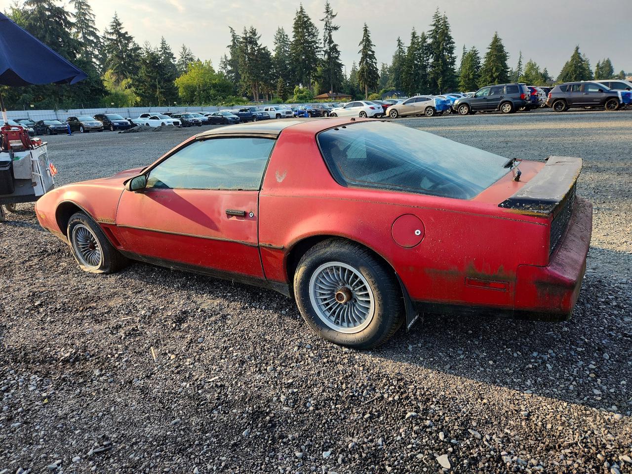 1982 Pontiac Firebird Trans Am Красный vin: 1G2AW8779CL558084