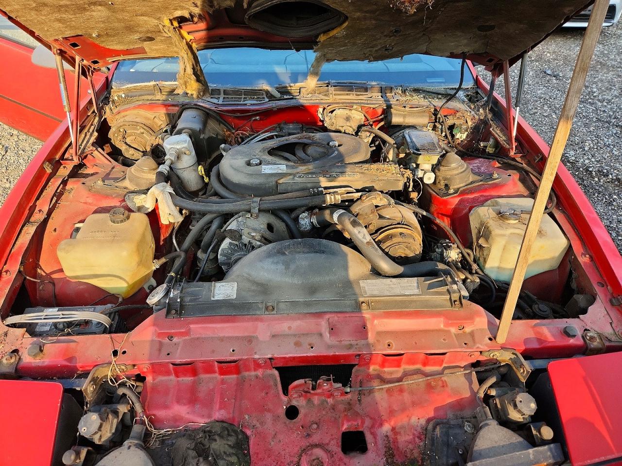 1982 Pontiac Firebird Trans Am Красный vin: 1G2AW8779CL558084