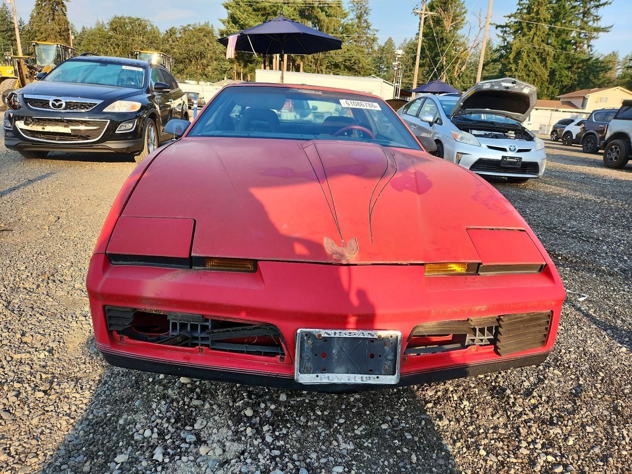 1982 Pontiac Firebird Trans Am Красный vin: 1G2AW8779CL558084