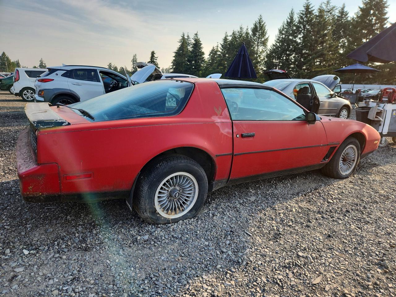 1982 Pontiac Firebird Trans Am Красный vin: 1G2AW8779CL558084