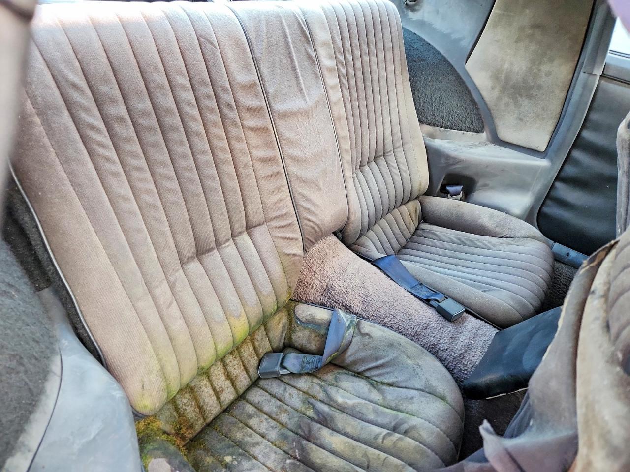 1982 Pontiac Firebird Trans Am Красный vin: 1G2AW8779CL558084