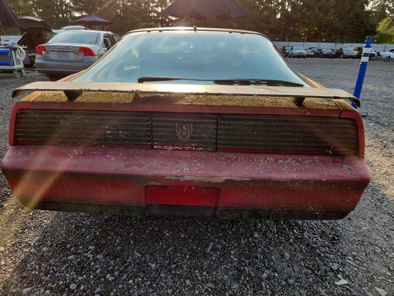 1982 Pontiac Firebird Trans Am Красный vin: 1G2AW8779CL558084