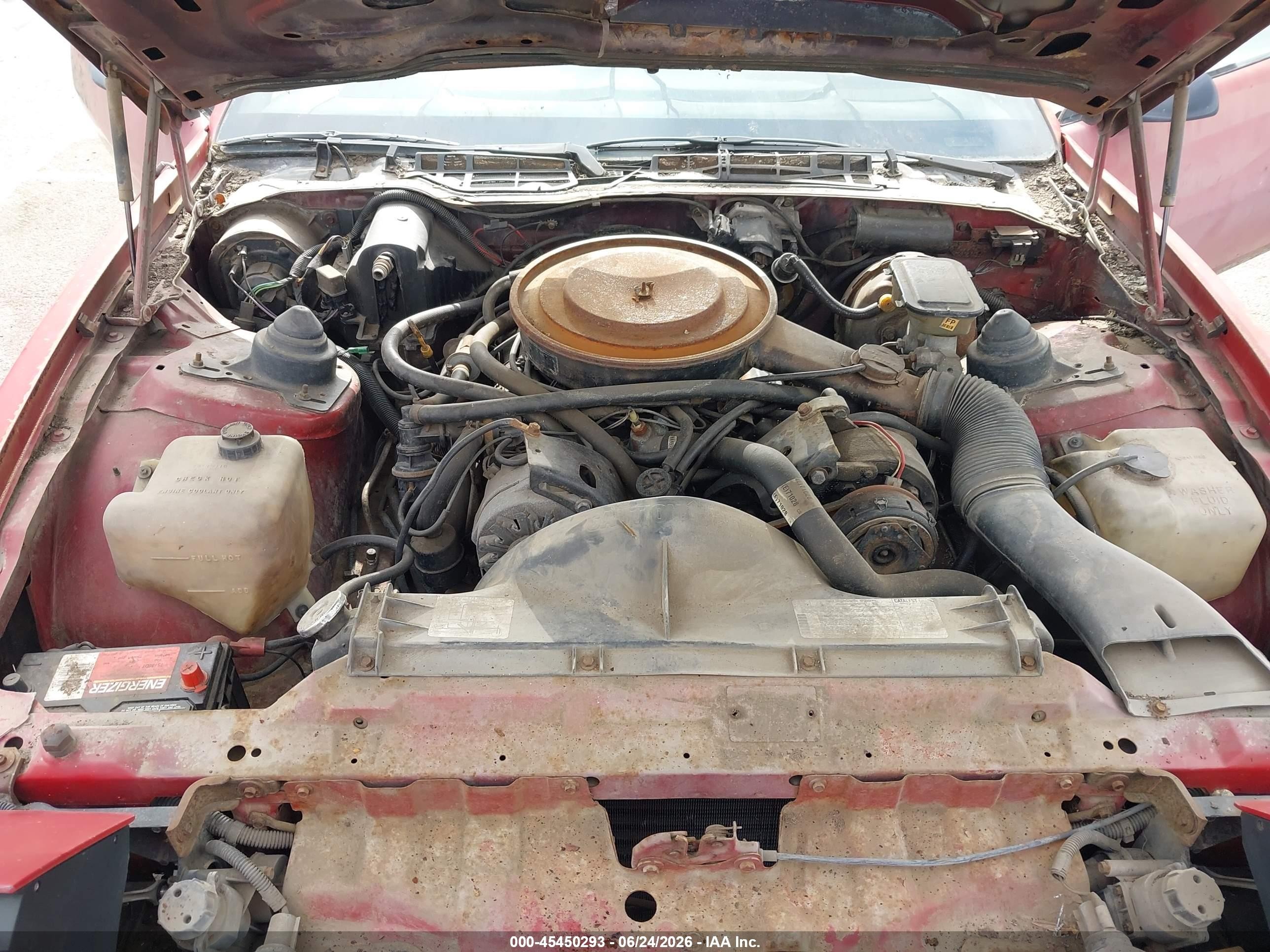 1982 Pontiac Firebird Trans Am Red vin: 1G2AW87H5CL533160