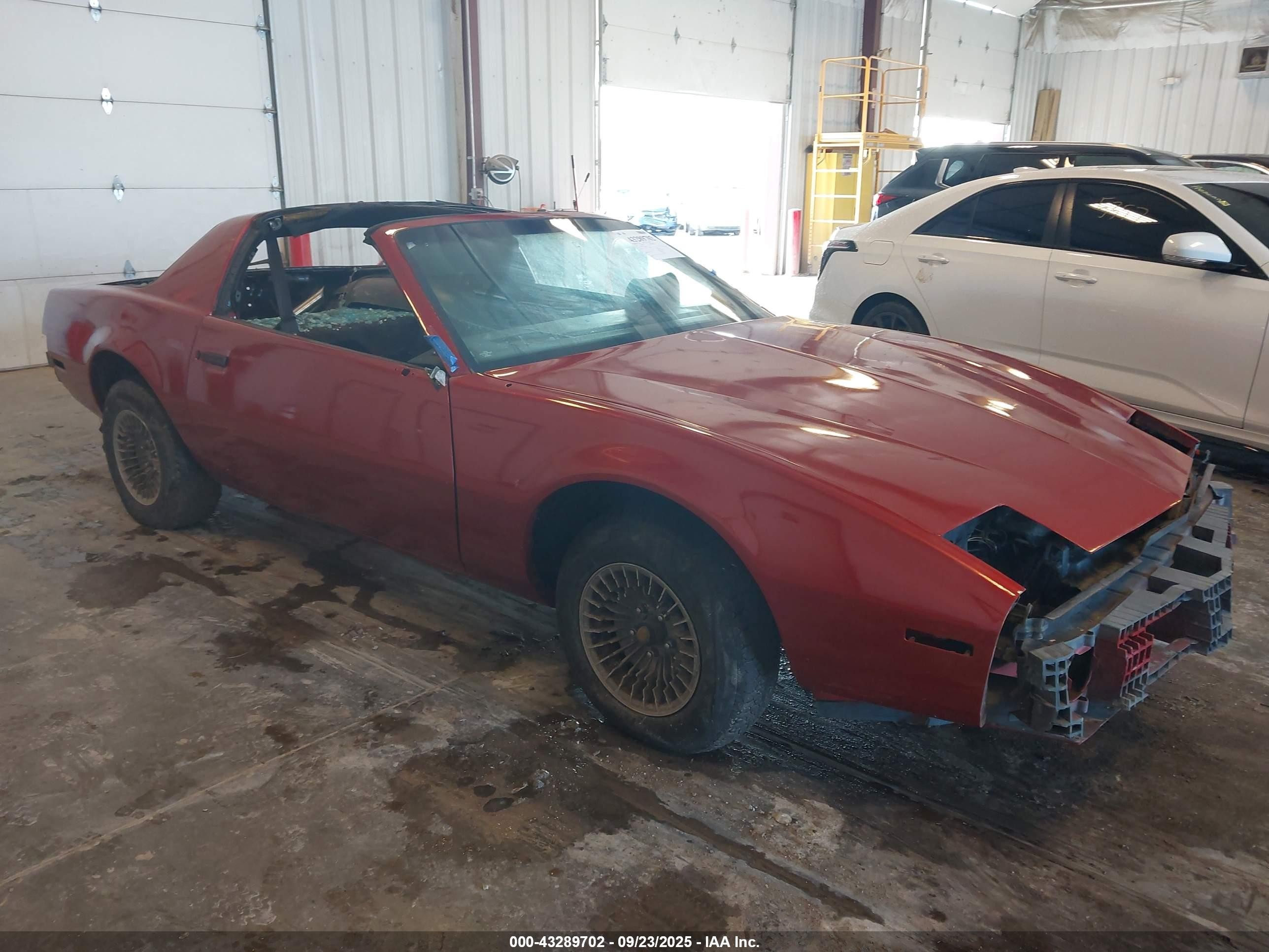 1982 Pontiac Firebird Se Красный vin: 1G2AX8712CL554080
