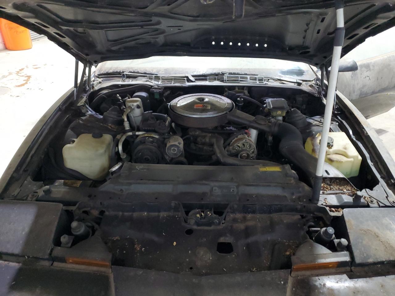 1988 Pontiac Firebird Black vin: 1G2FS21E6JL242273