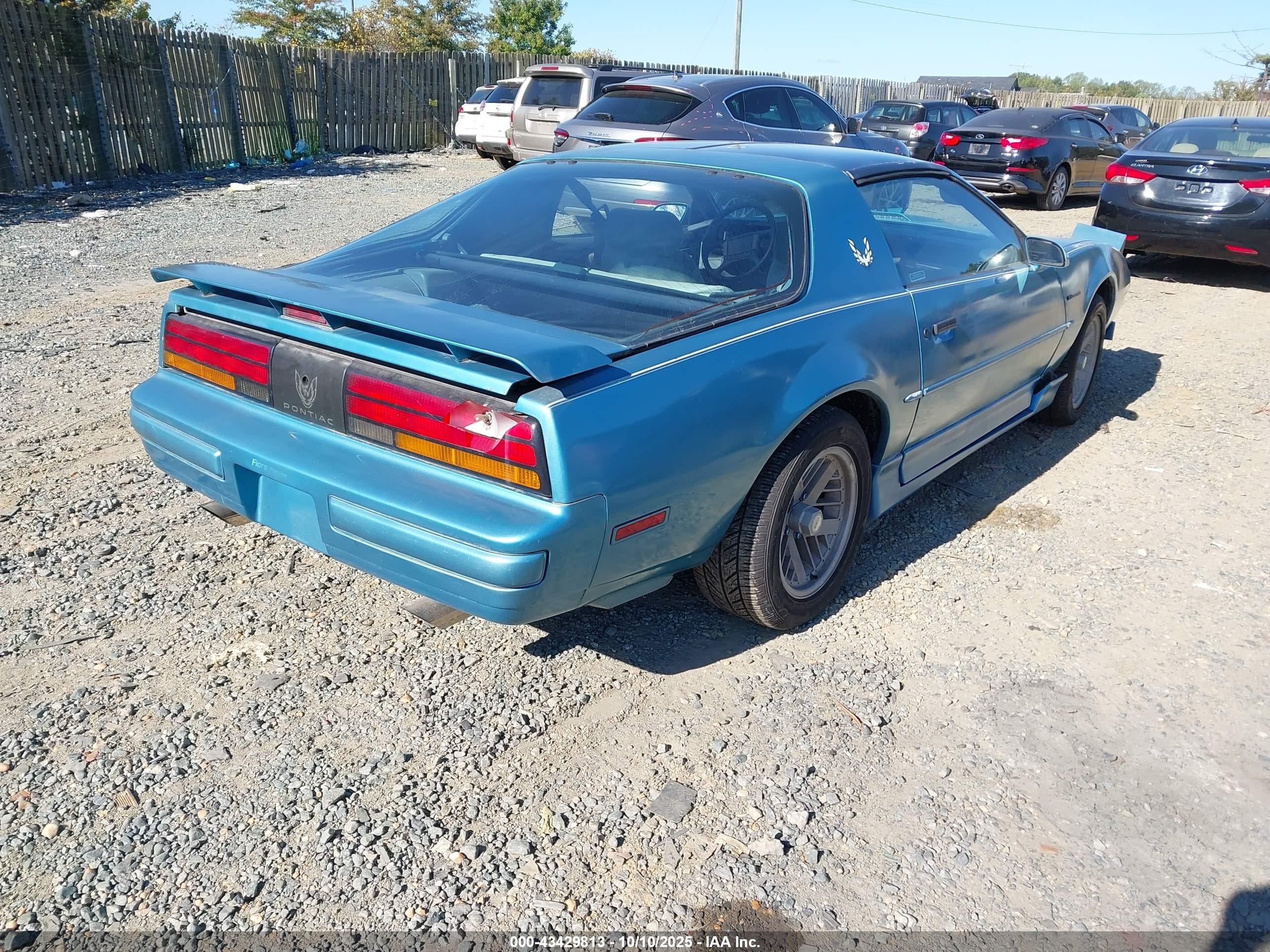 1989 Pontiac Firebird Formula Blue vin: 1G2FS21E6KL228116