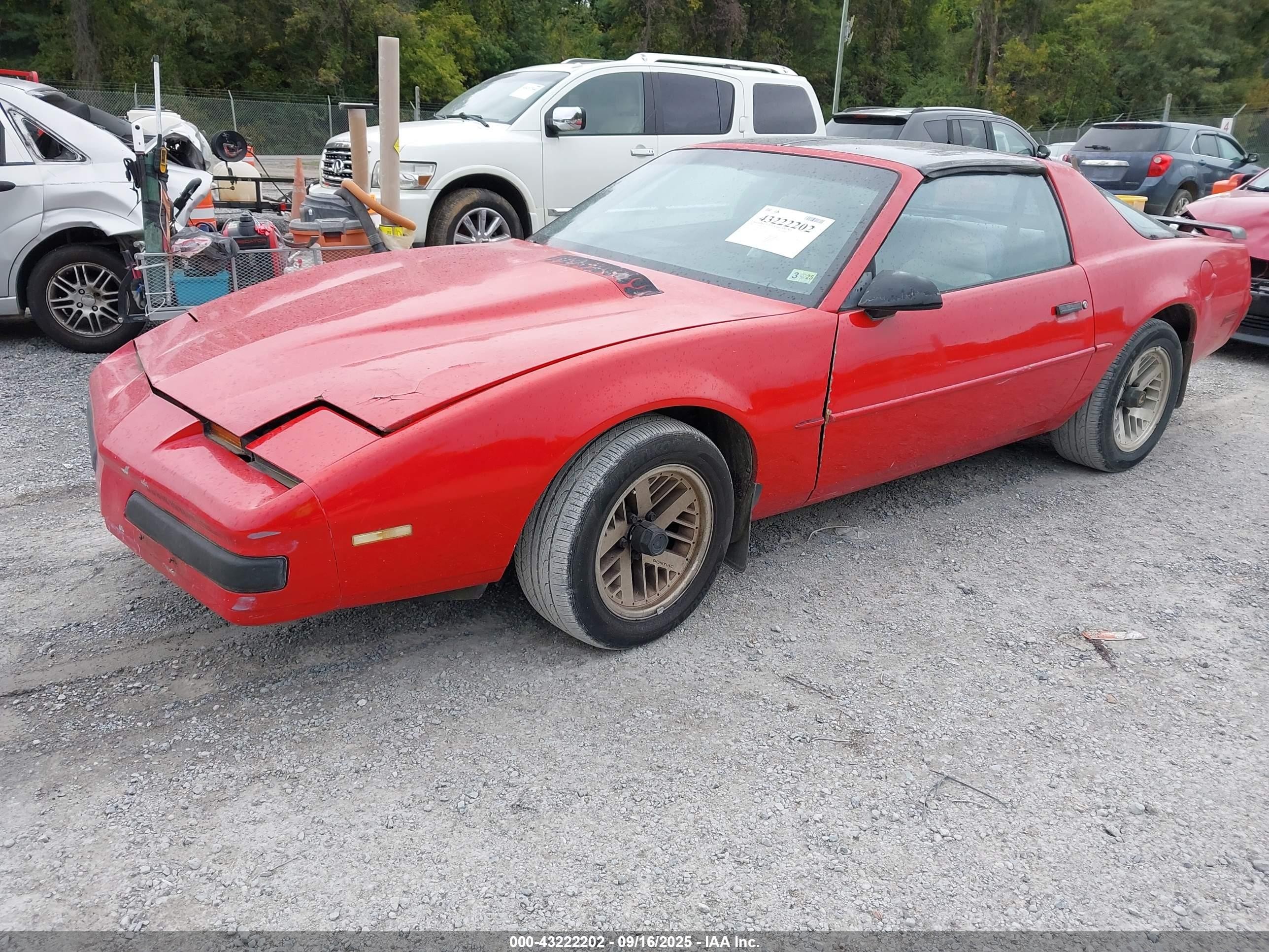 1988 Pontiac Firebird   Red vin: 1G2FS21F3JL219625