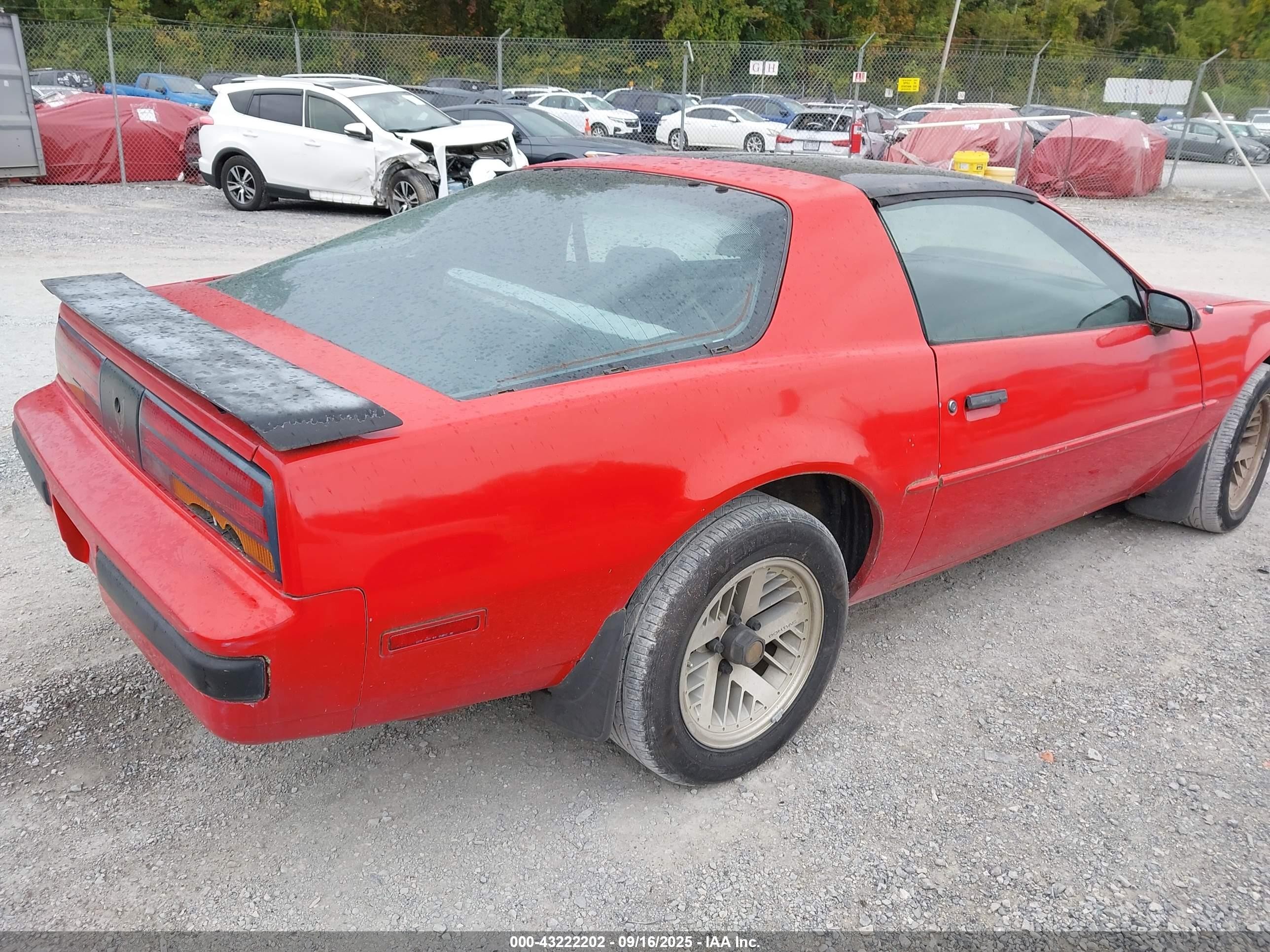 1988 Pontiac Firebird   Red vin: 1G2FS21F3JL219625