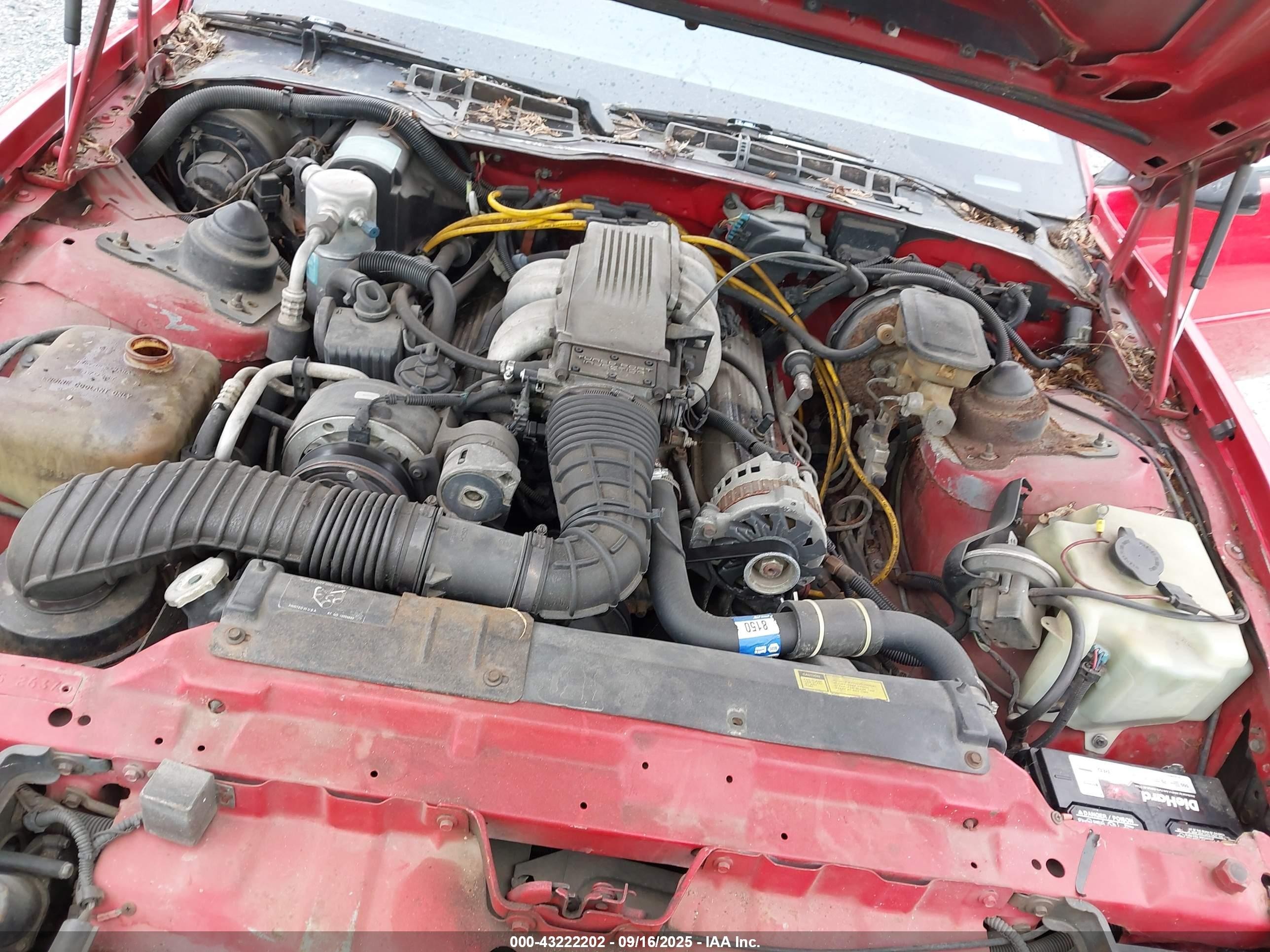 1988 Pontiac Firebird   Red vin: 1G2FS21F3JL219625