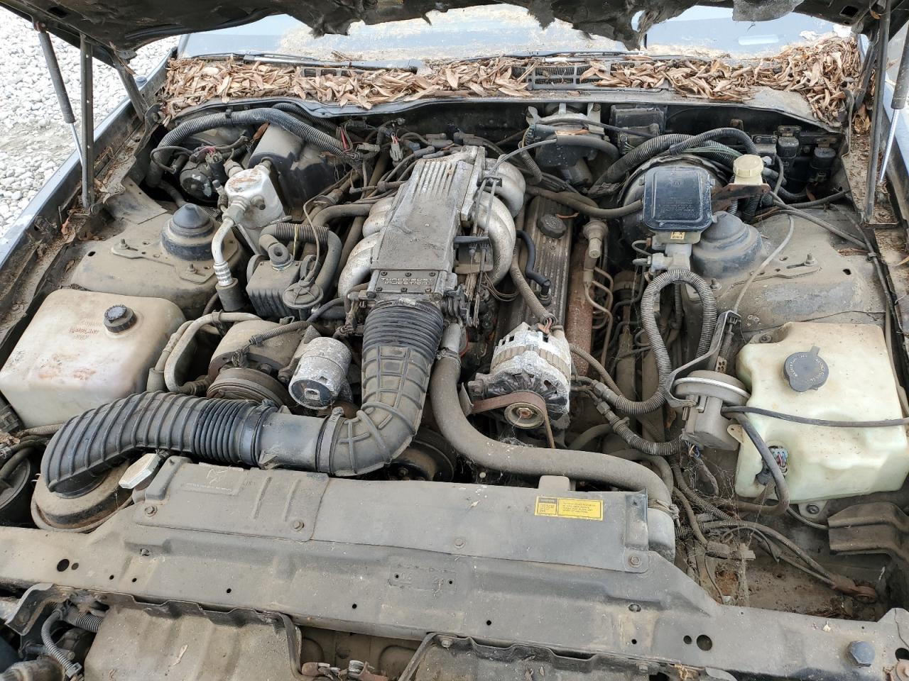 1989 Pontiac Firebird Formula Black vin: 1G2FS21F5KL223725