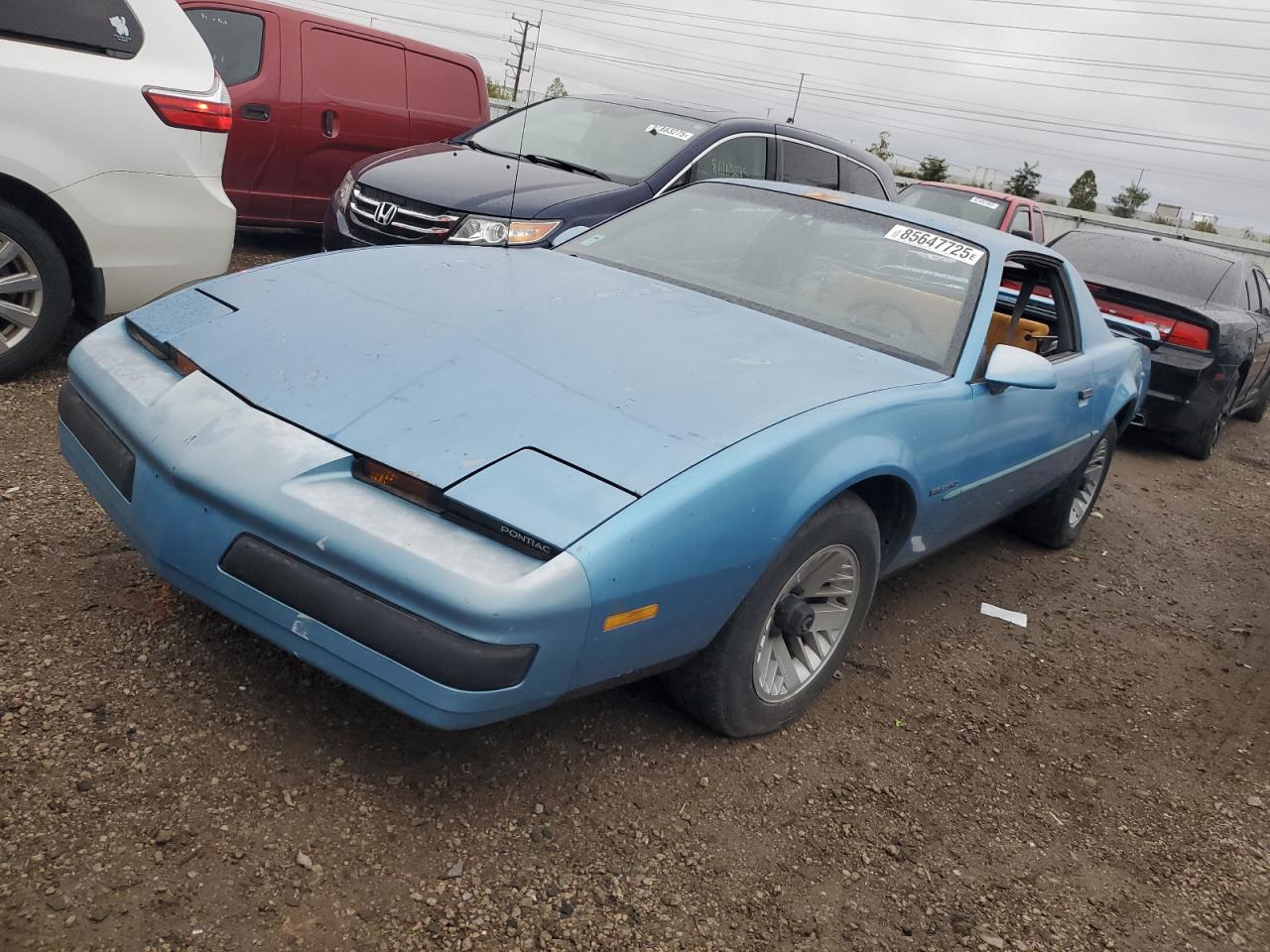 1989 Pontiac Firebird Синий vin: 1G2FS21S4KL251691