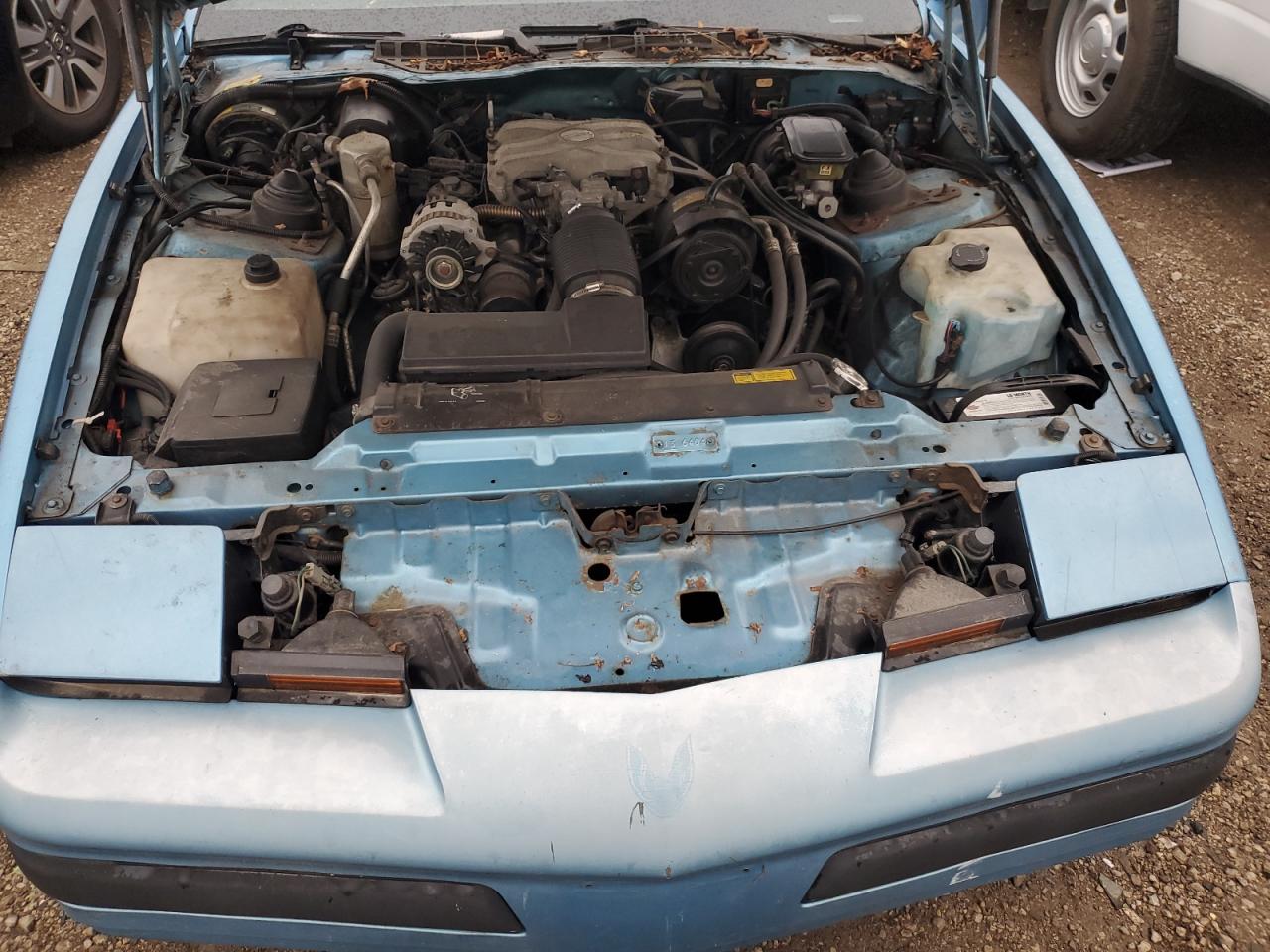 1989 Pontiac Firebird Blue vin: 1G2FS21S4KL251691