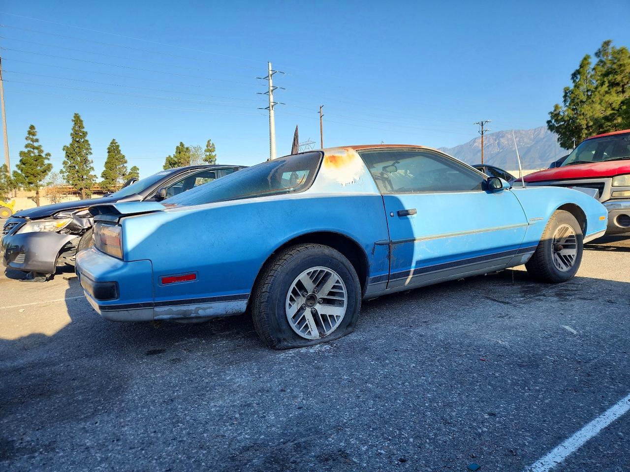 1988 Pontiac Firebird Blue vin: 1G2FS21S7JL236620
