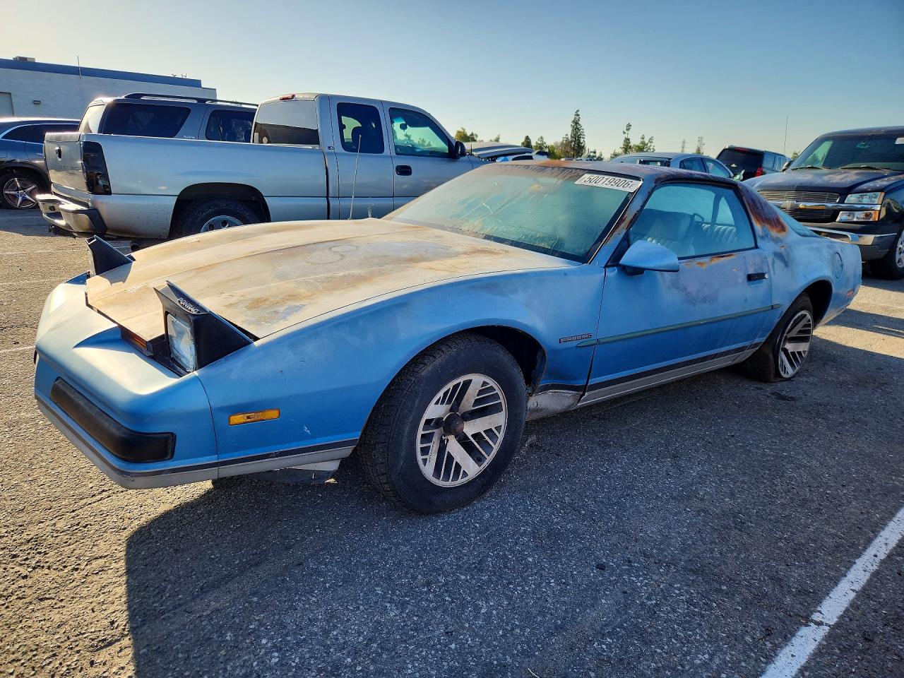 1988 Pontiac Firebird Blue vin: 1G2FS21S7JL236620