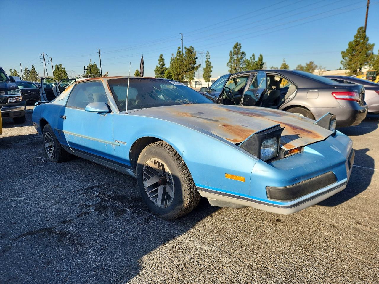 1988 Pontiac Firebird Blue vin: 1G2FS21S7JL236620