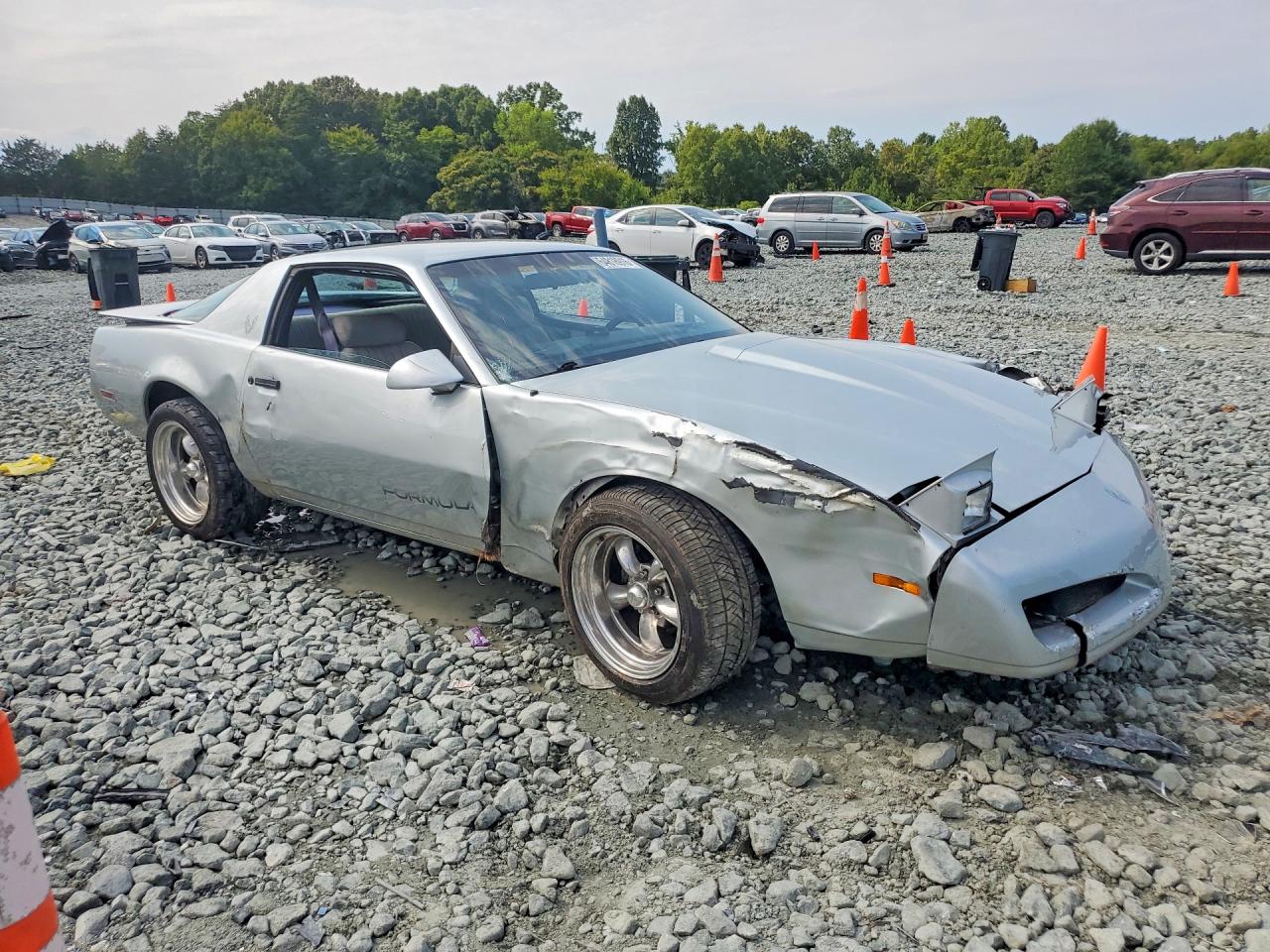 1991 Pontiac Firebird Formula Silver vin: 1G2FS2389ML236074