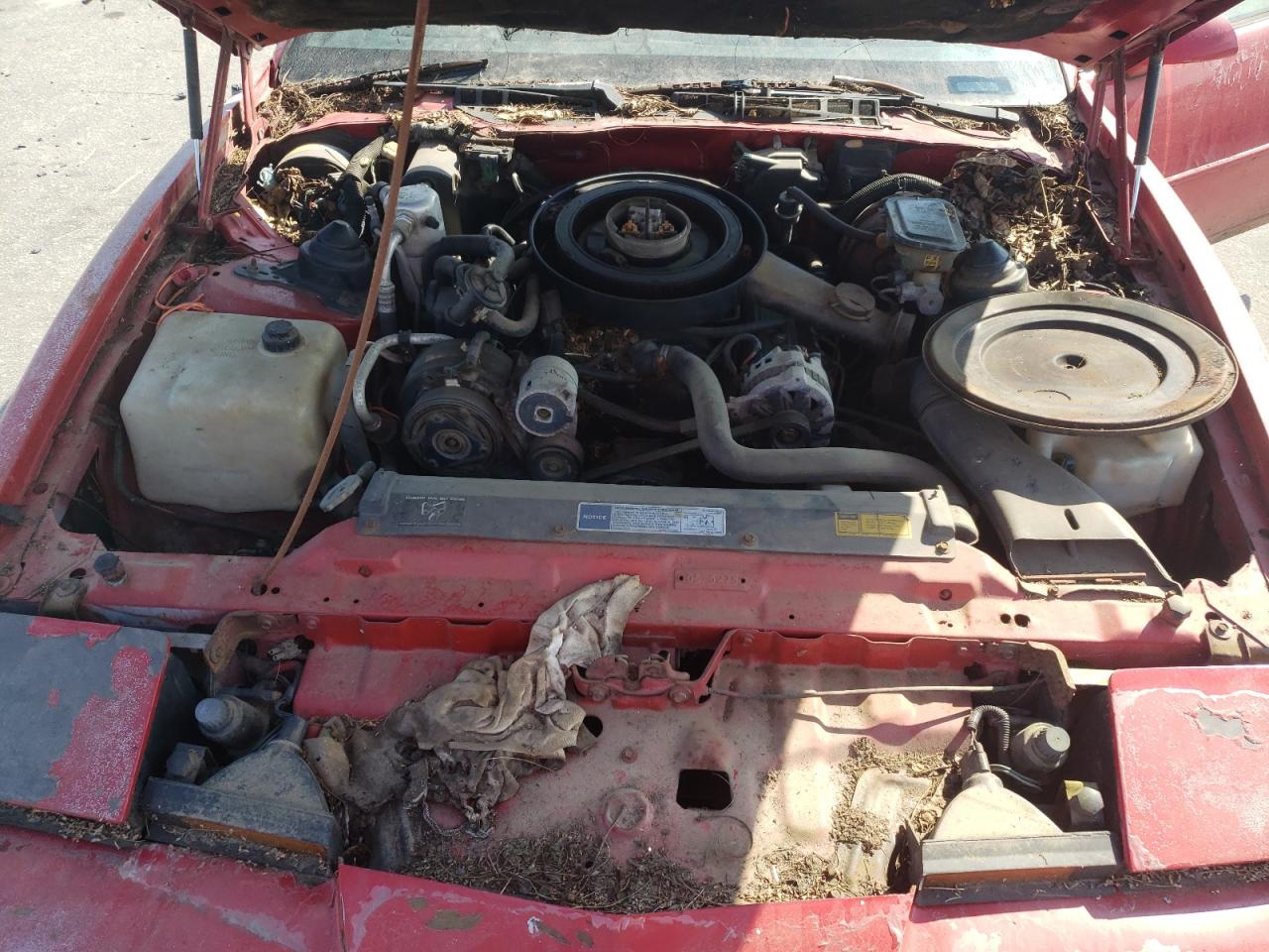 1990 Pontiac Firebird Base Red vin: 1G2FS23E2LL220450