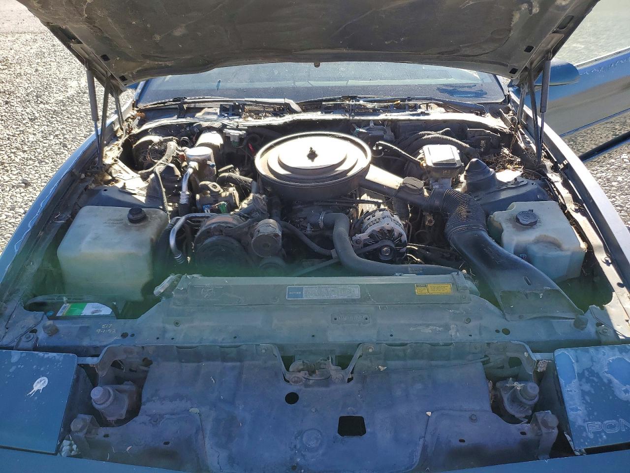 1992 Pontiac Firebird Base Green vin: 1G2FS23E2NL227403