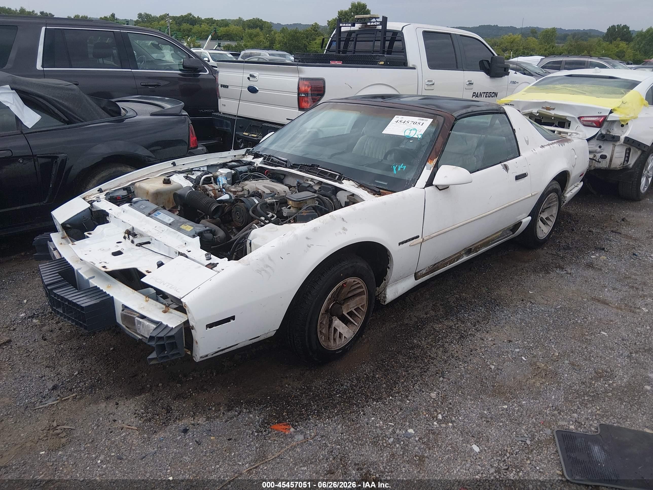 1991 Pontiac Firebird   White vin: 1G2FS23T3ML248676