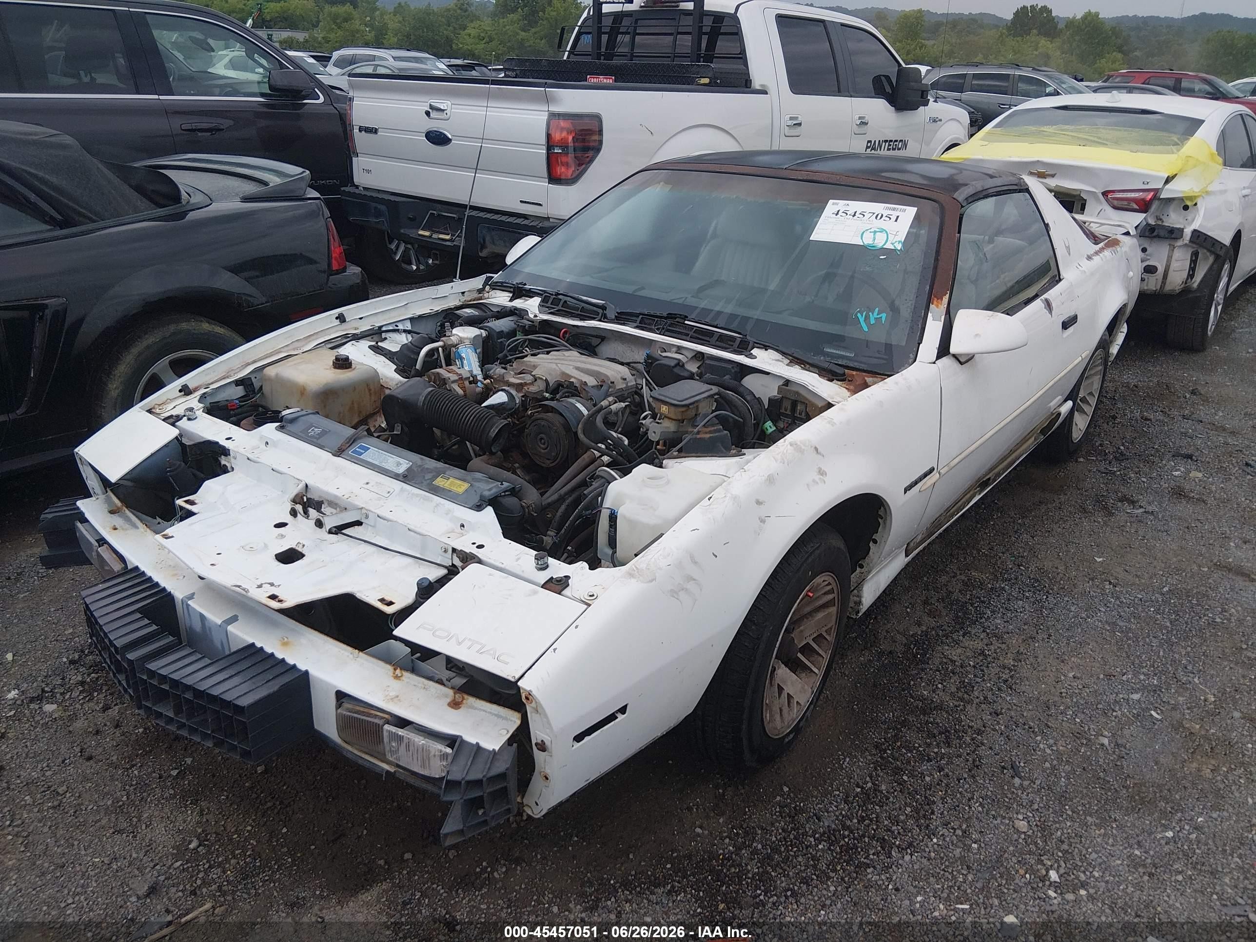 1991 Pontiac Firebird   White vin: 1G2FS23T3ML248676