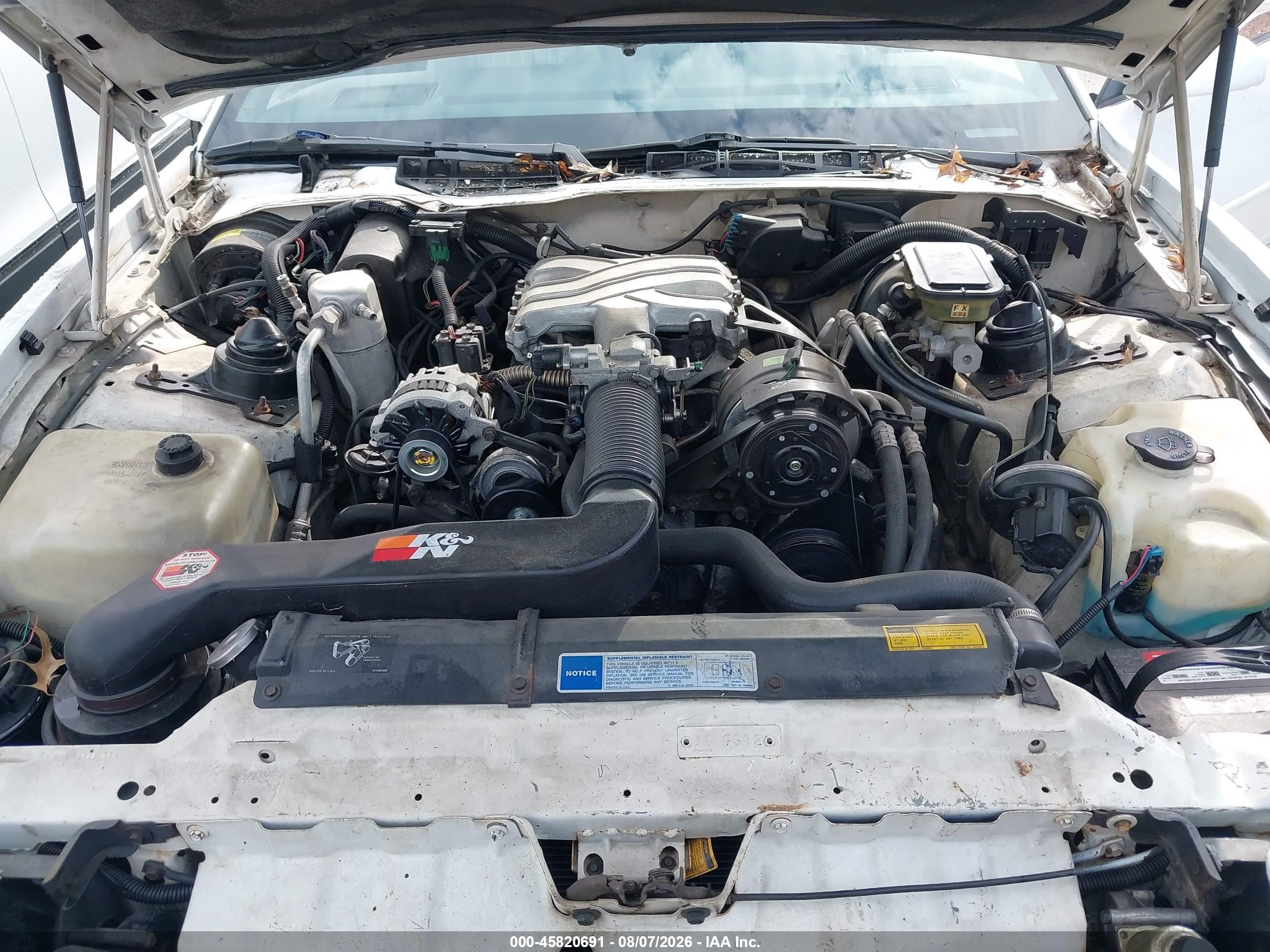1991 Pontiac Firebird   White vin: 1G2FS23T5ML219146