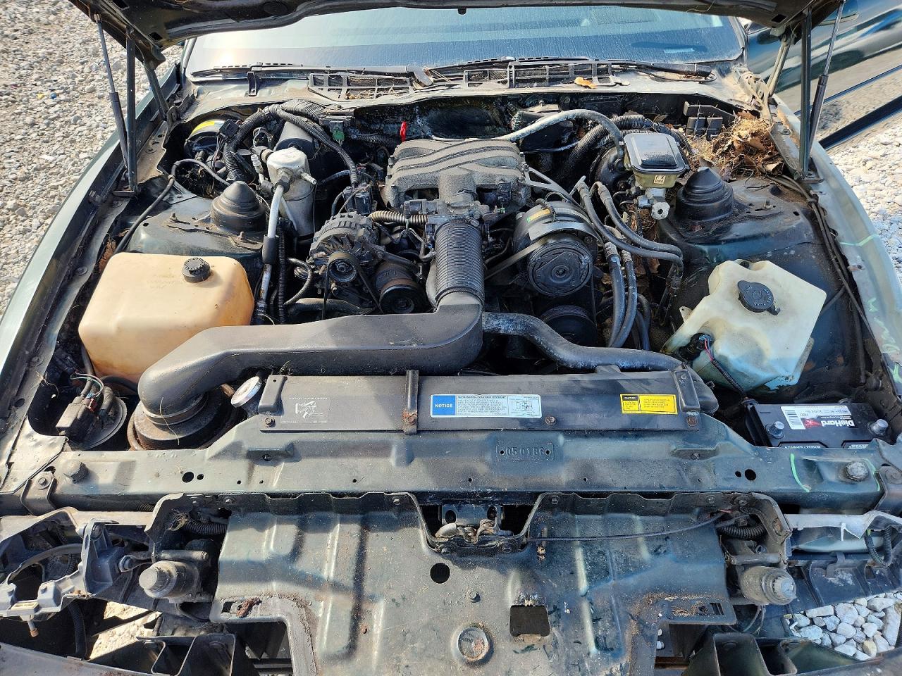 1992 Pontiac Firebird Зеленый vin: 1G2FS23T5NL215440