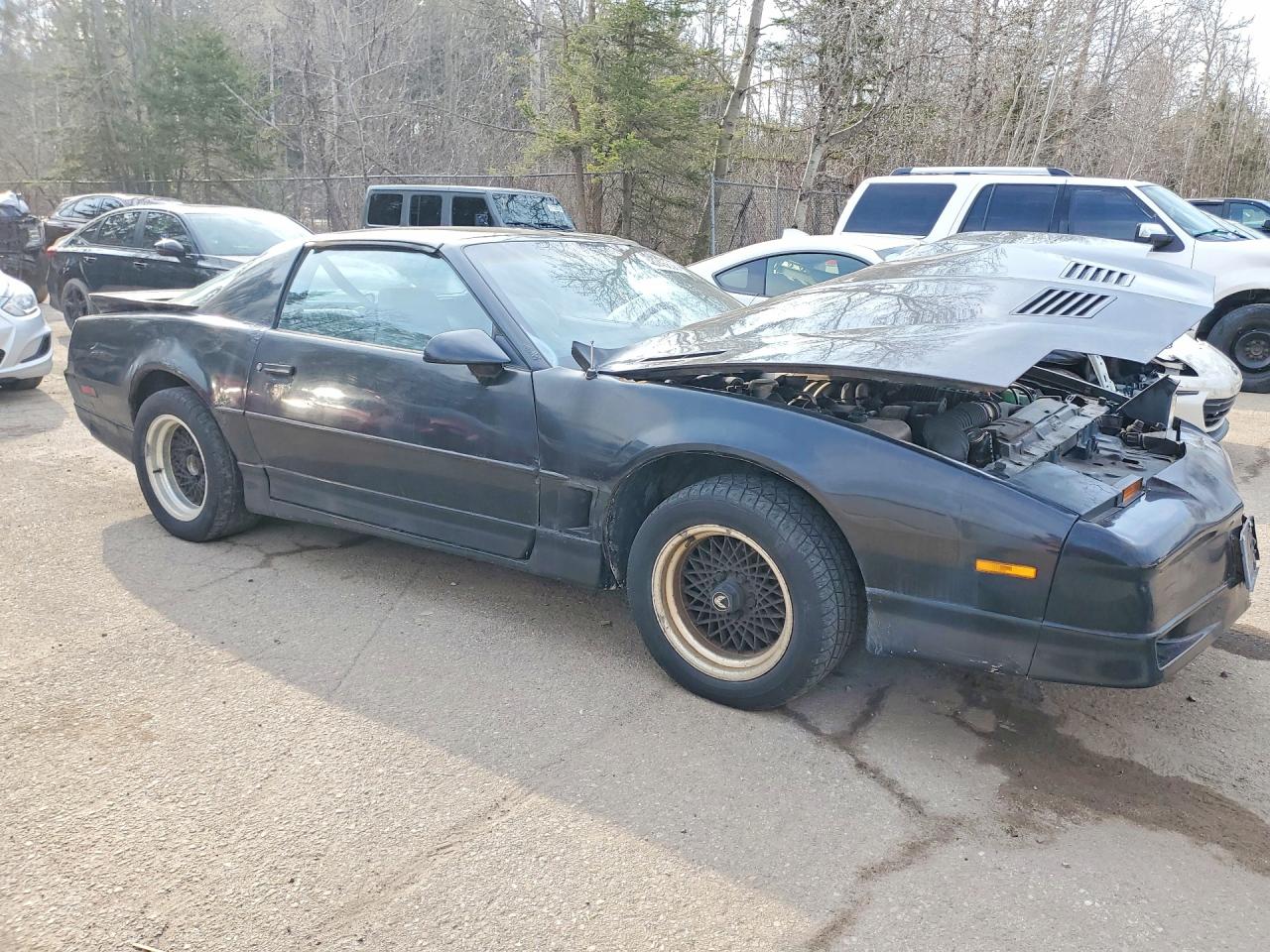 1988 Pontiac Firebird Trans Am Черный vin: 1G2FW21F1JL251833
