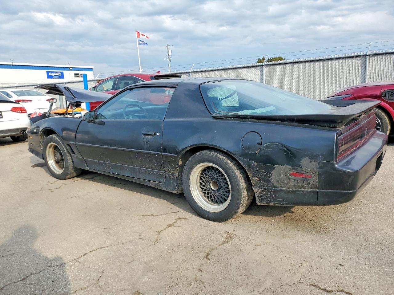 1988 Pontiac Firebird Trans Am Черный vin: 1G2FW21F1JL251833
