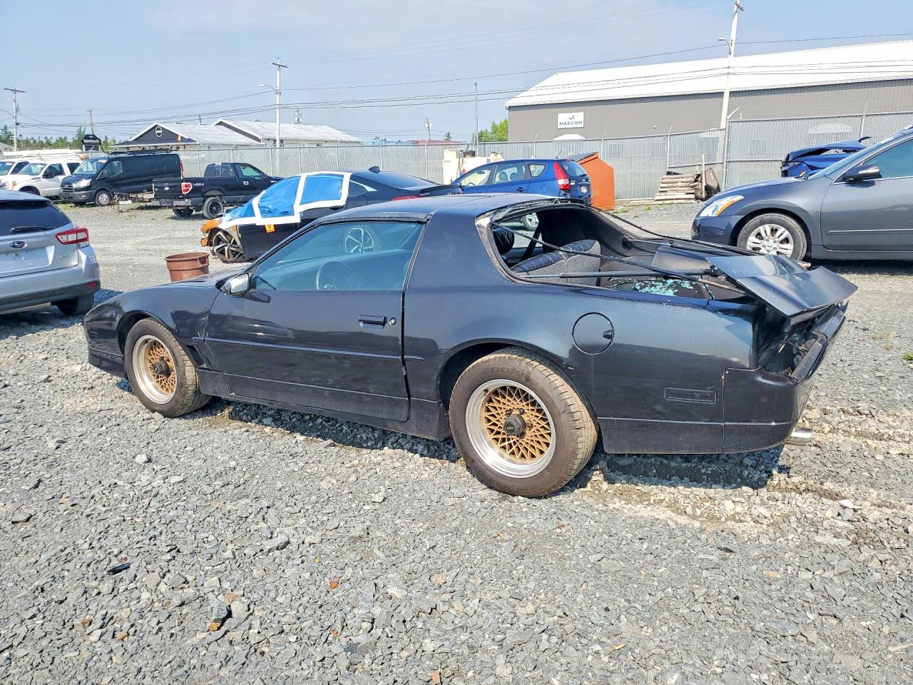1988 Pontiac Firebird Trans Am Black vin: 1G2FW21F5JL211139