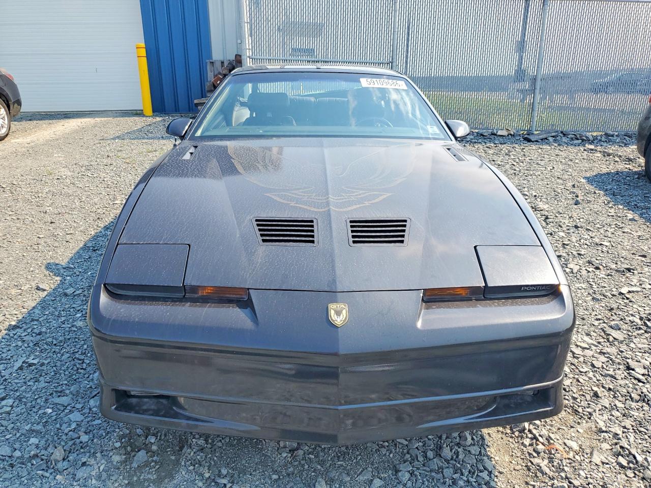 1988 Pontiac Firebird Trans Am Black vin: 1G2FW21F5JL211139