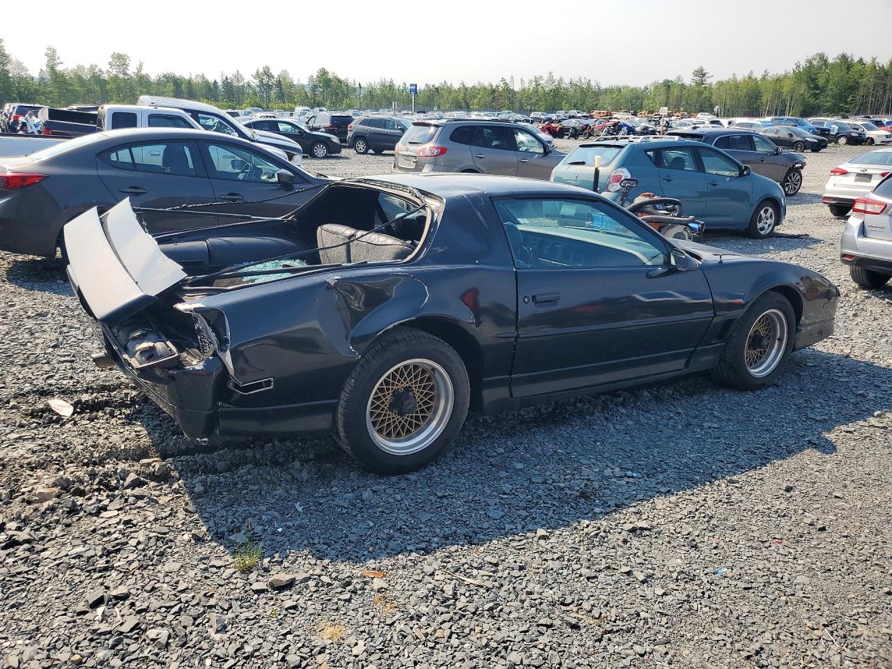 1988 Pontiac Firebird Trans Am Black vin: 1G2FW21F5JL211139