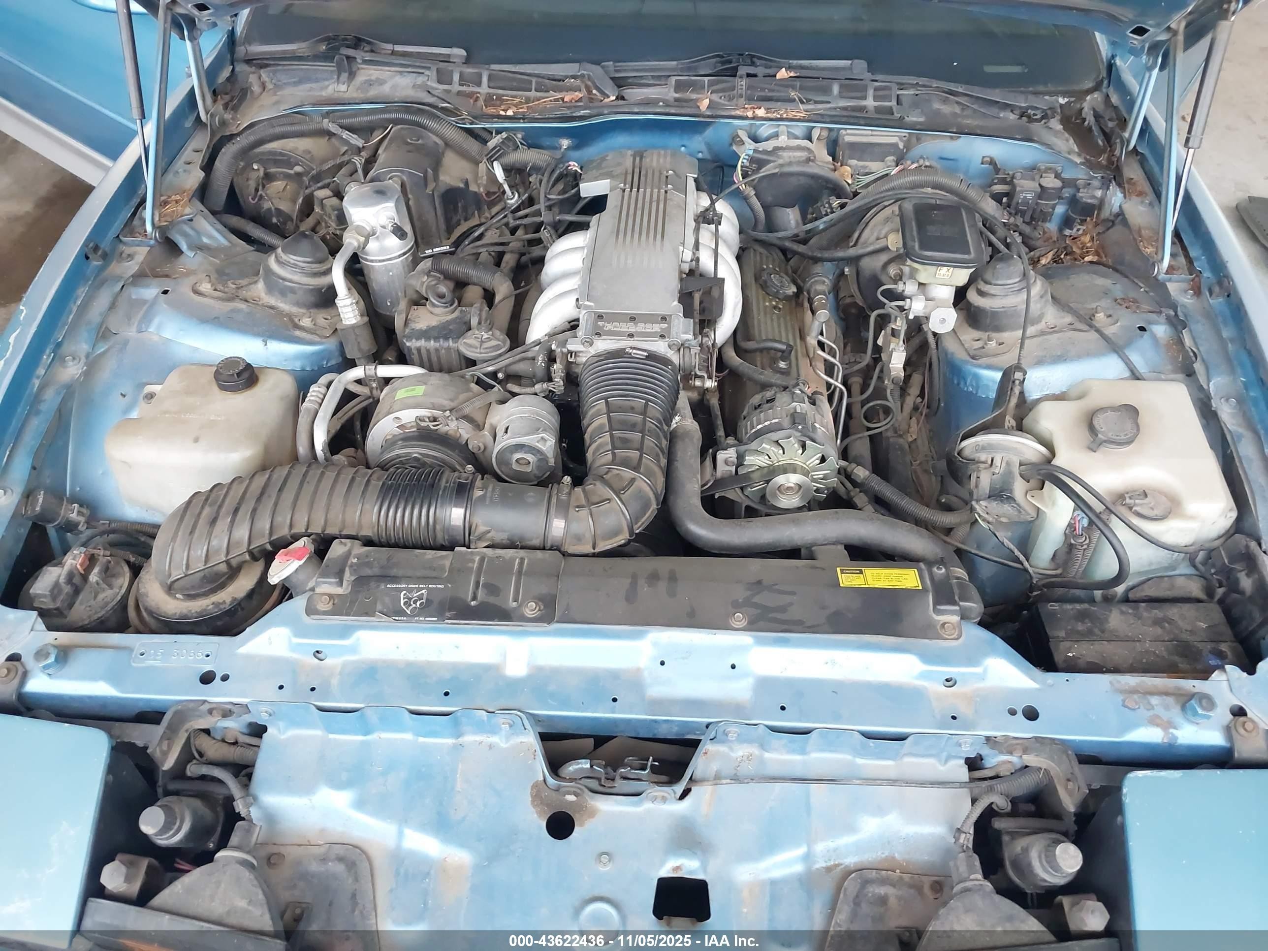 1988 Pontiac Firebird Trans Am/gta Light Blue vin: 1G2FW21F7JL219792