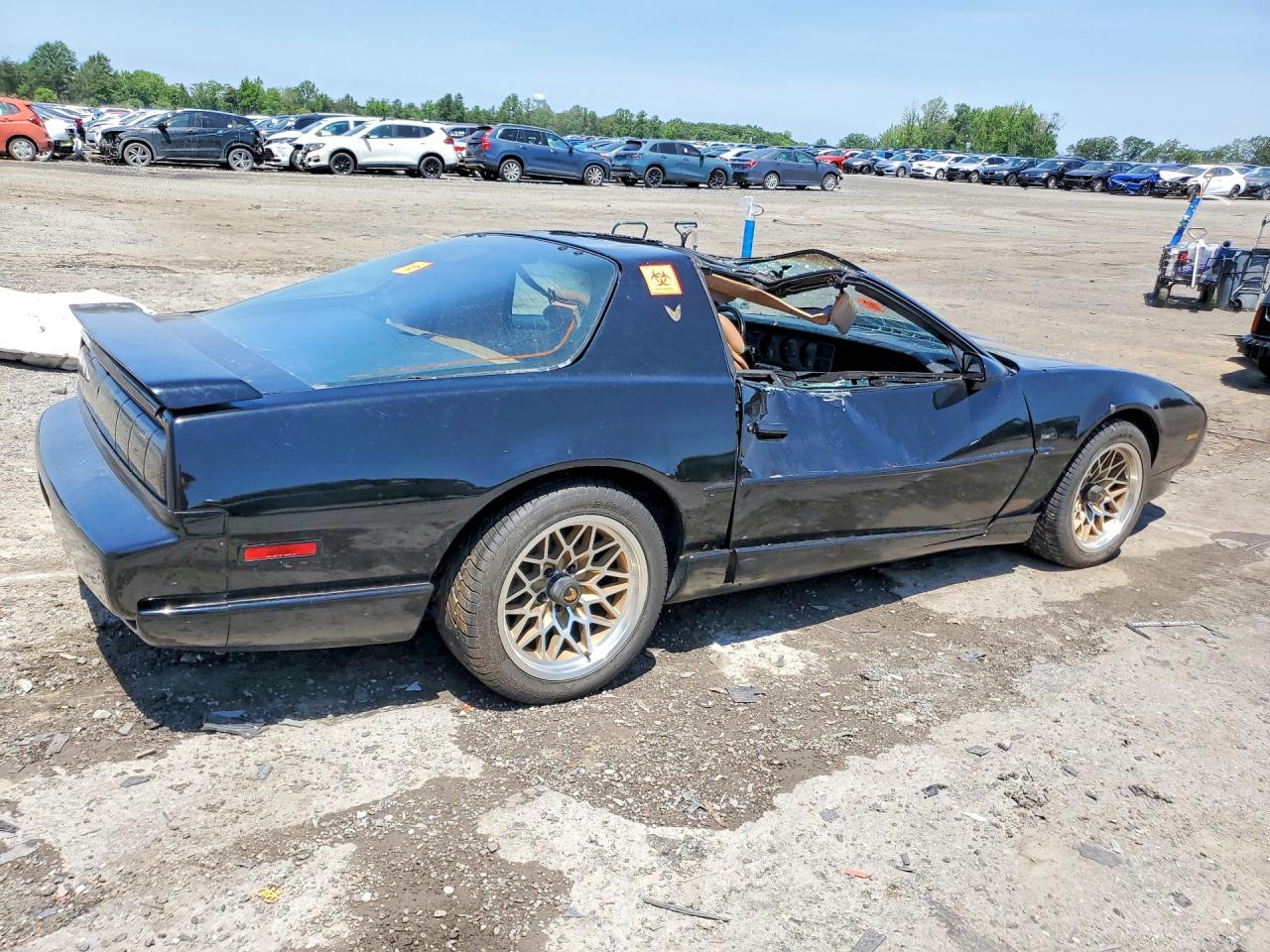 1991 Pontiac Firebird Trans Am Black vin: 1G2FW23F2ML230569
