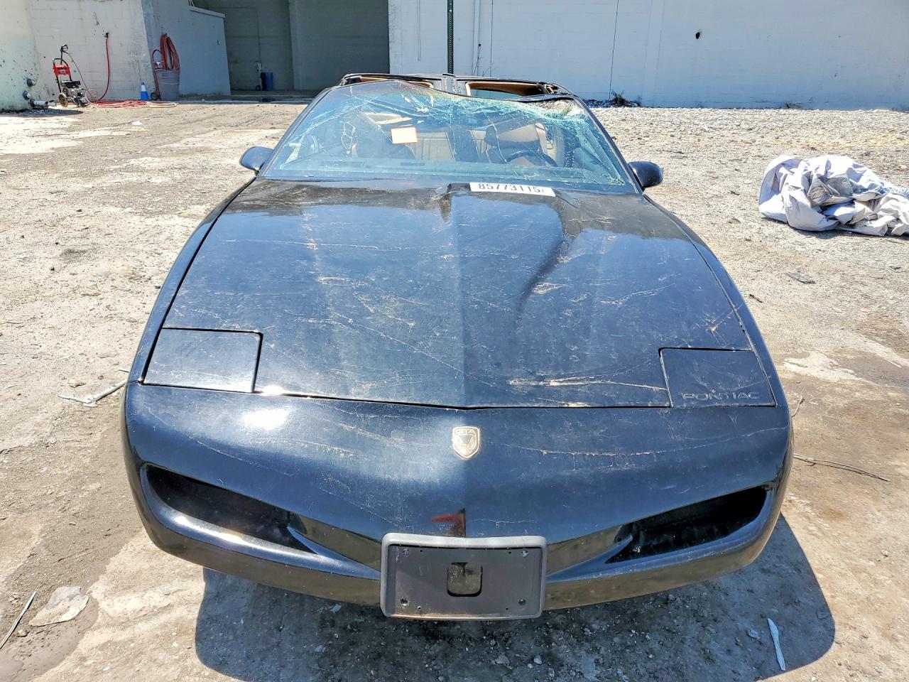 1991 Pontiac Firebird Trans Am Black vin: 1G2FW23F2ML230569