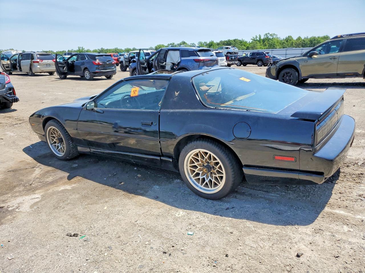 1991 Pontiac Firebird Trans Am Black vin: 1G2FW23F2ML230569