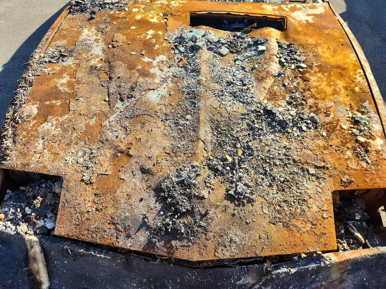 1992 Pontiac Firebird Trans Am Burn vin: 1G2FW33F7NL206906