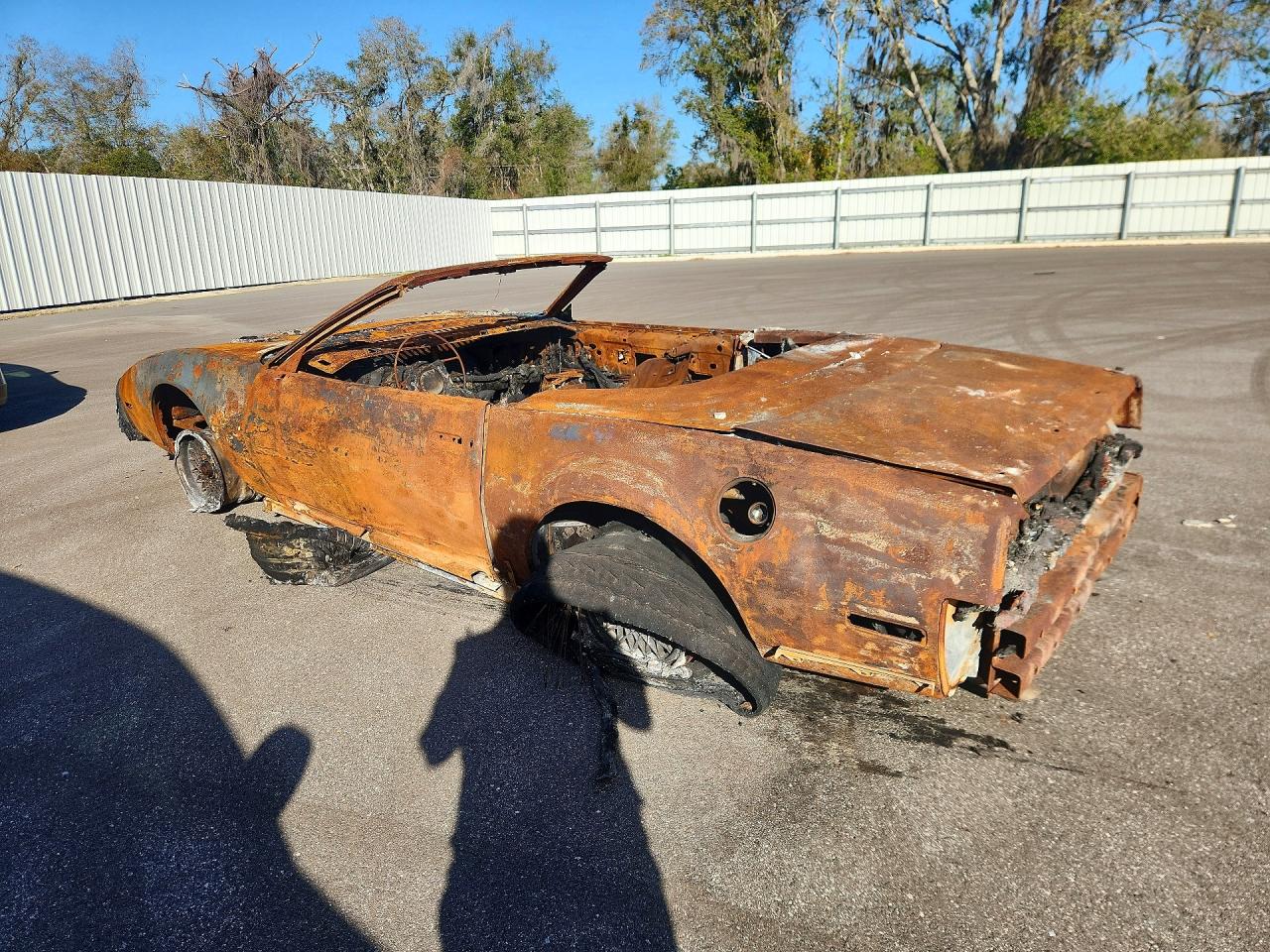 1992 Pontiac Firebird Trans Am Burn vin: 1G2FW33F7NL206906