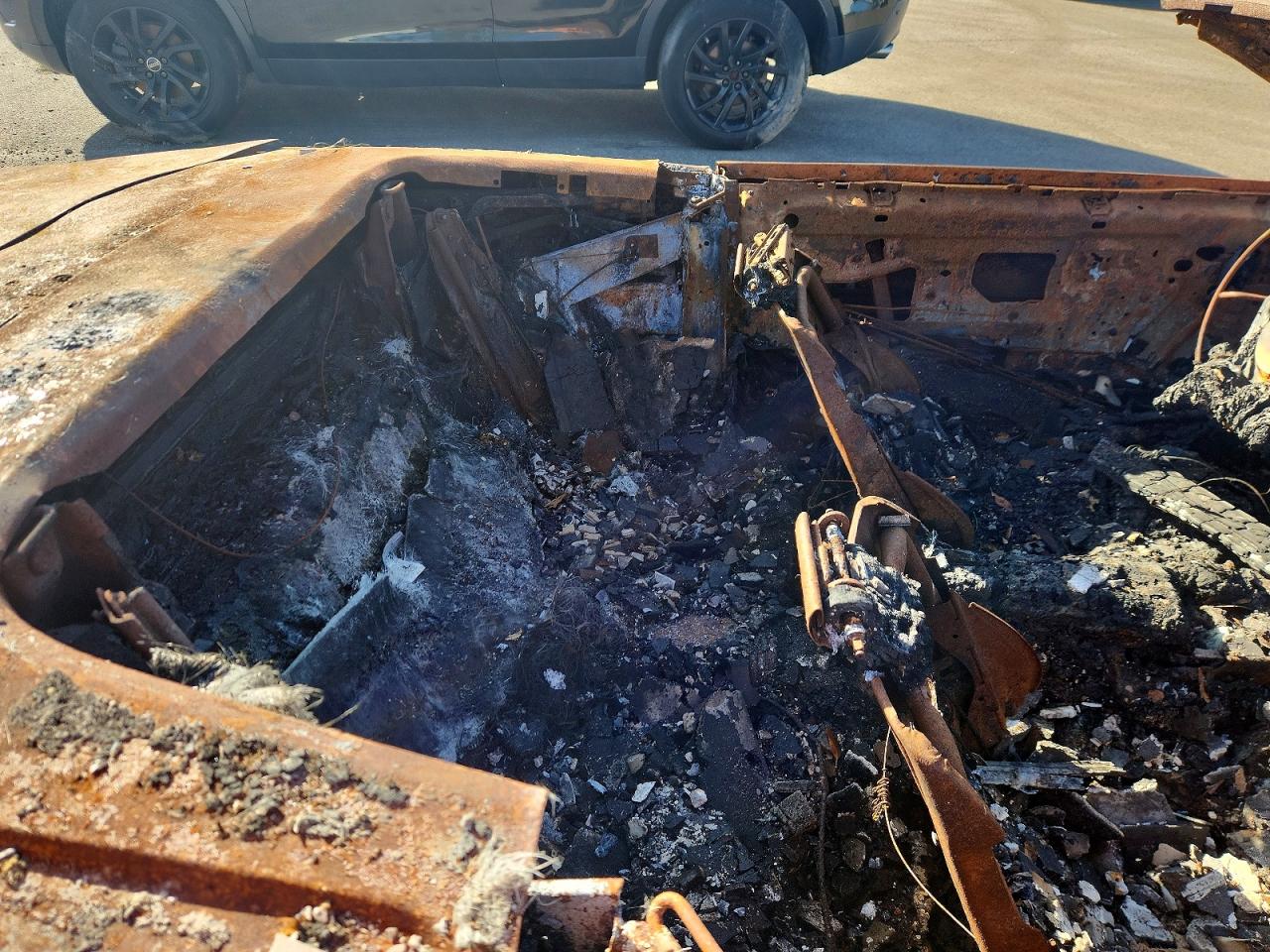 1992 Pontiac Firebird Trans Am Burn vin: 1G2FW33F7NL206906