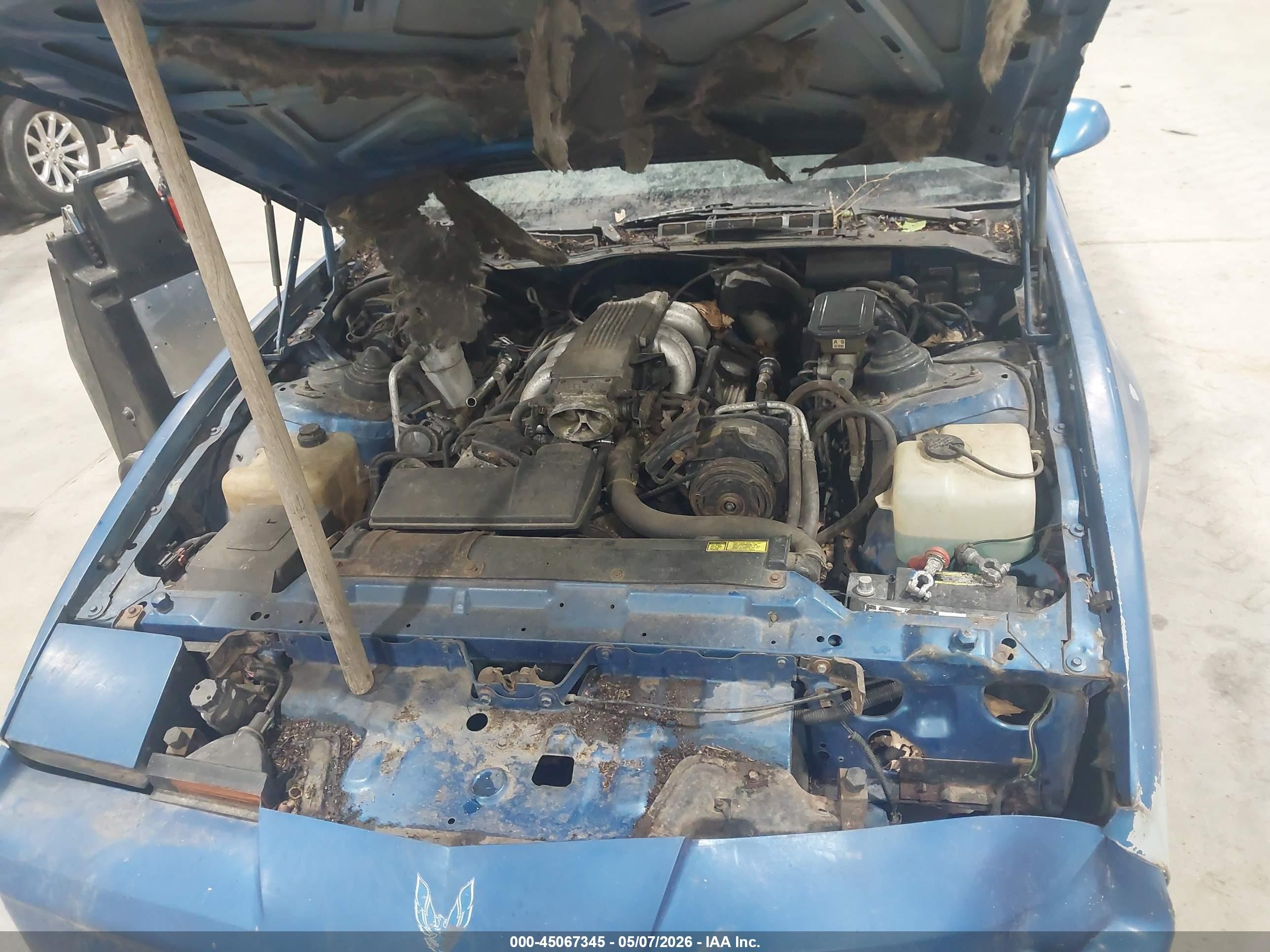 1985 Pontiac Firebird Trans Am Blue vin: 1G2FW87F3FN237650