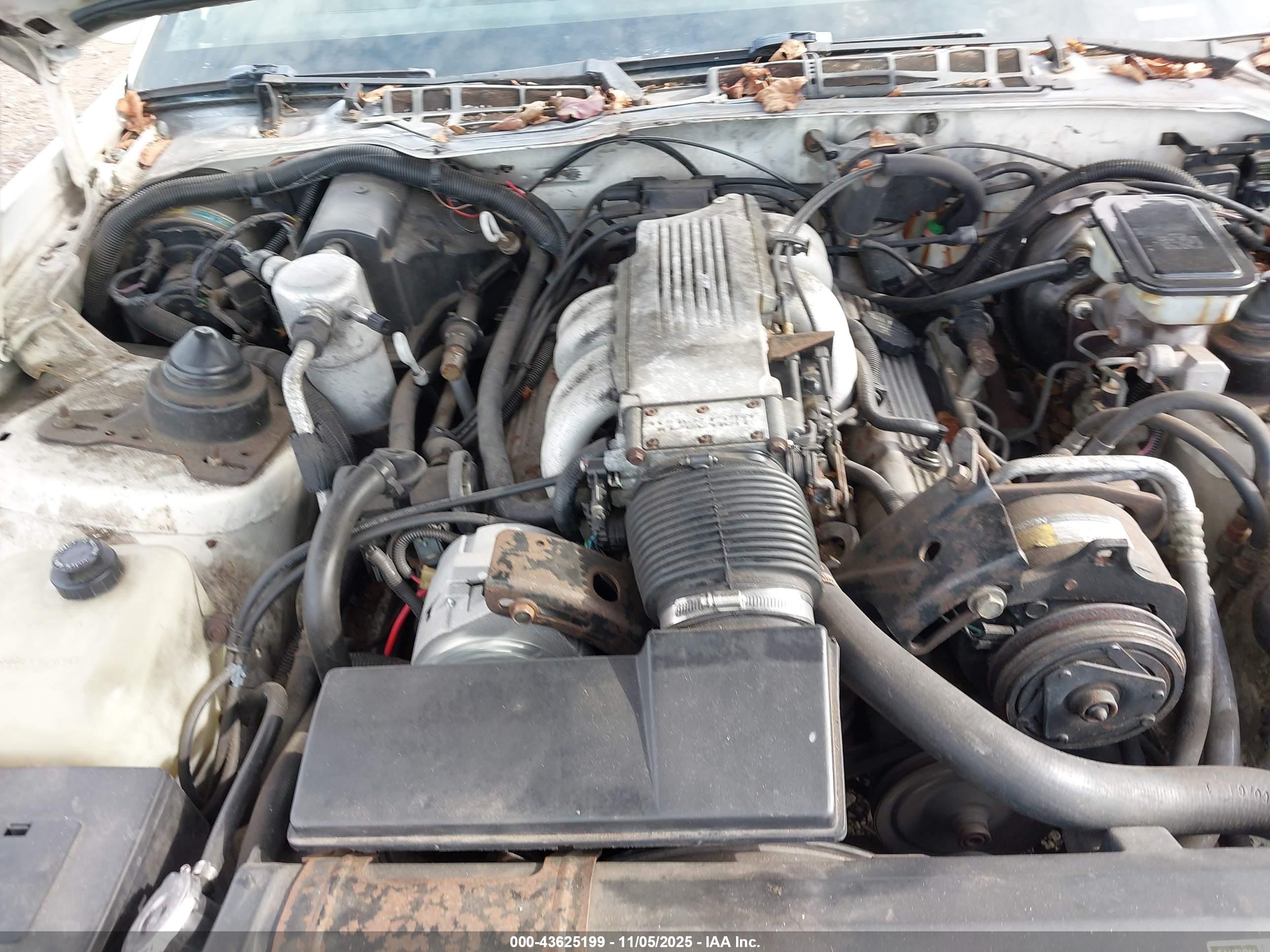 1985 Pontiac Firebird Trans Am White vin: 1G2FW87F6FN236136