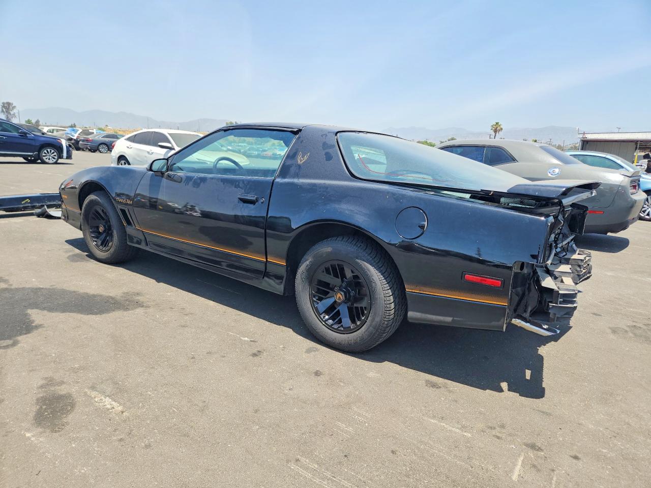 1985 Pontiac Firebird Trans Am Black vin: 1G2FW87H5FL202072