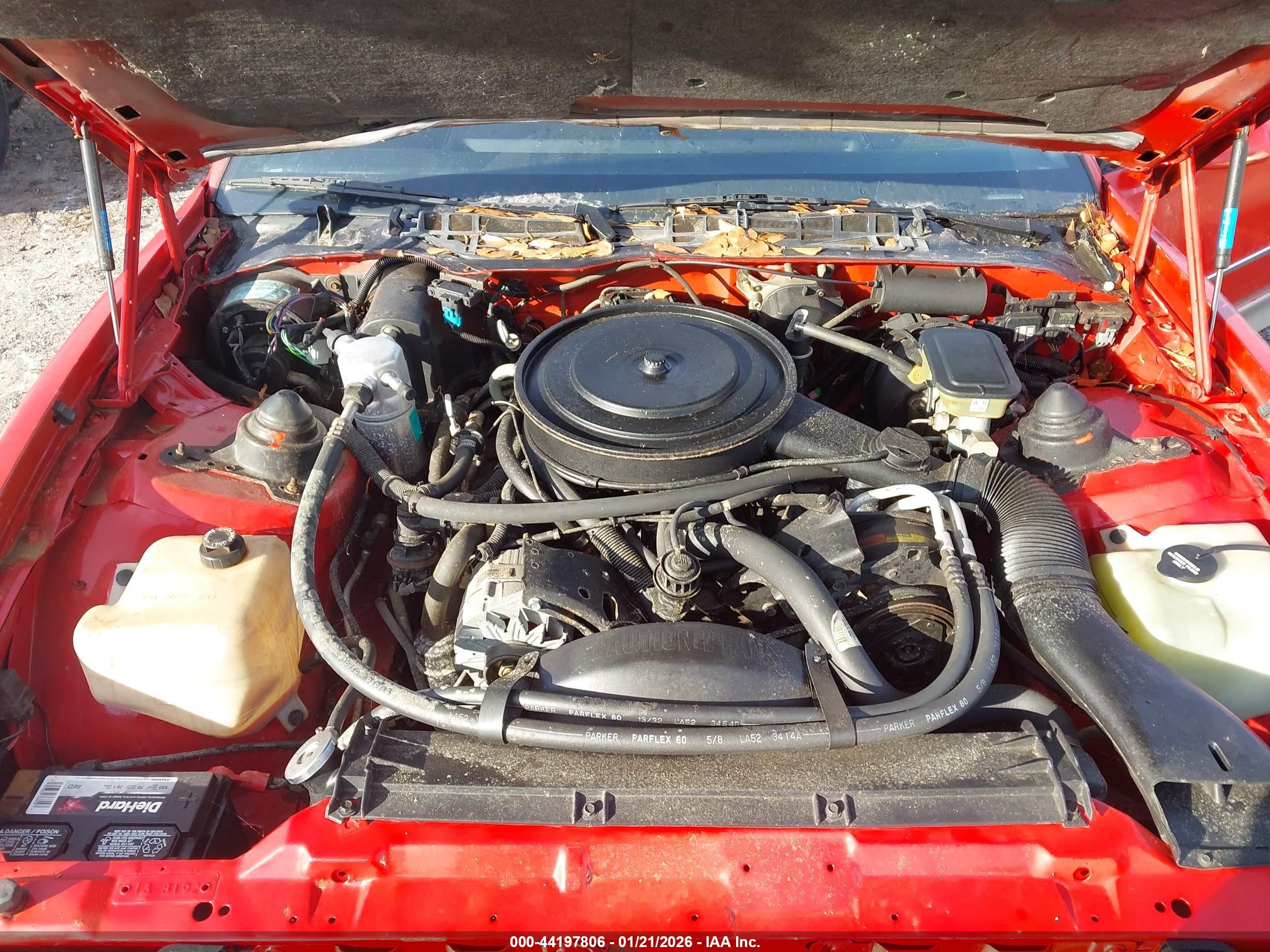 1985 Pontiac Firebird Trans Am Red vin: 1G2FW87H8FL647938