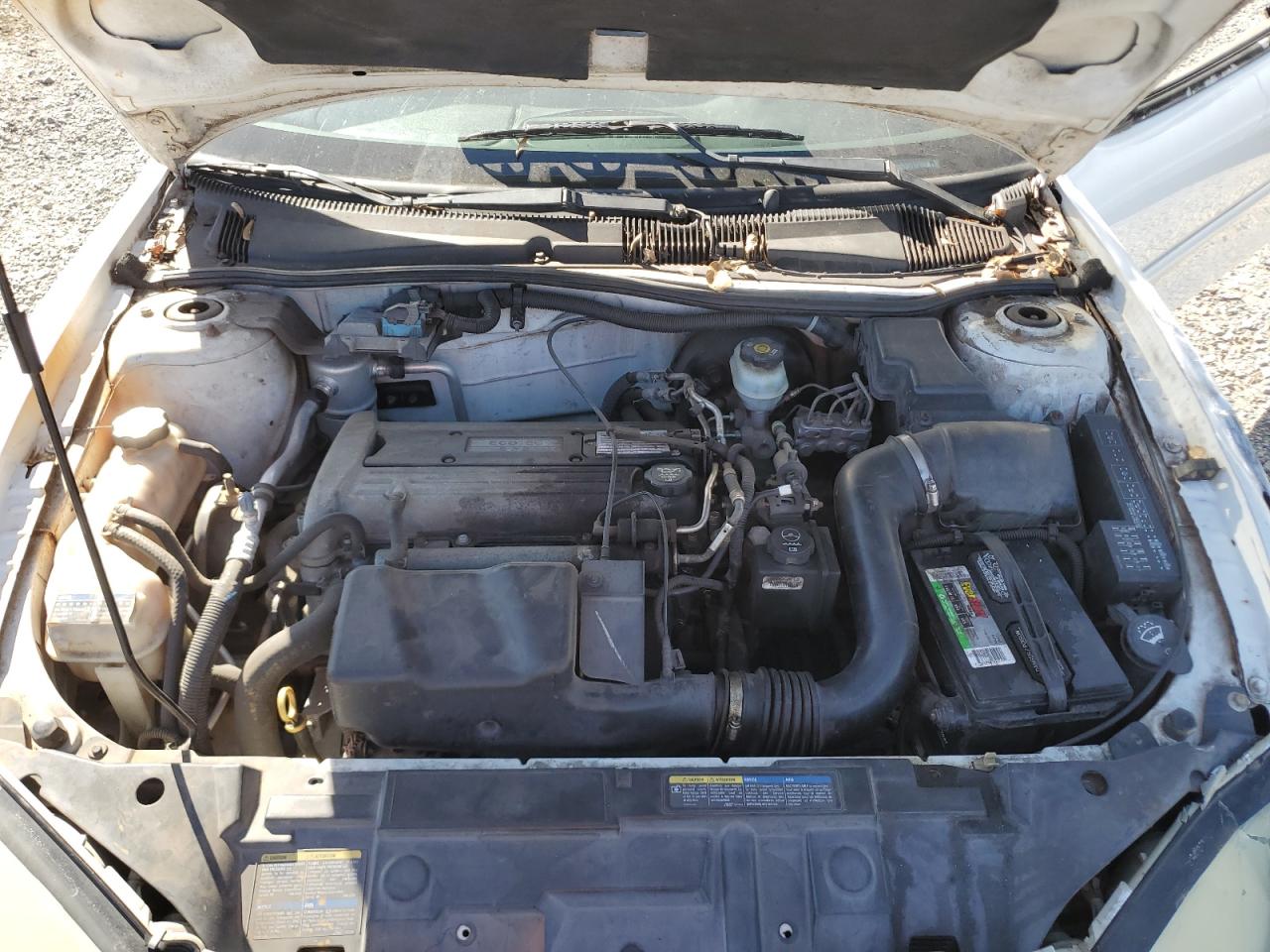 2004 Pontiac Sunfire White vin: 1G2JB12F847350354