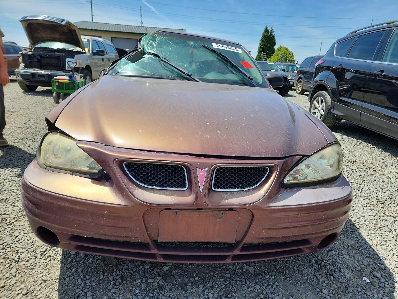 1999 Pontiac Grand Am Se Orange vin: 1G2NE52T3XC540841