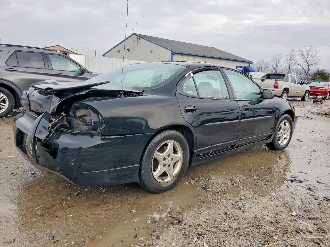 1997 Pontiac Grand Prix Gtp Black vin: 1G2WP5218VF291705