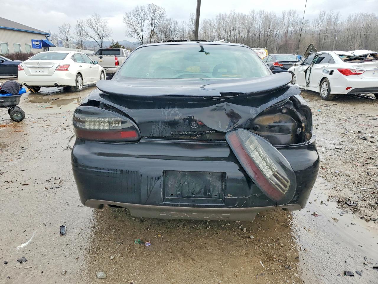 1997 Pontiac Grand Prix Gtp Black vin: 1G2WP5218VF291705