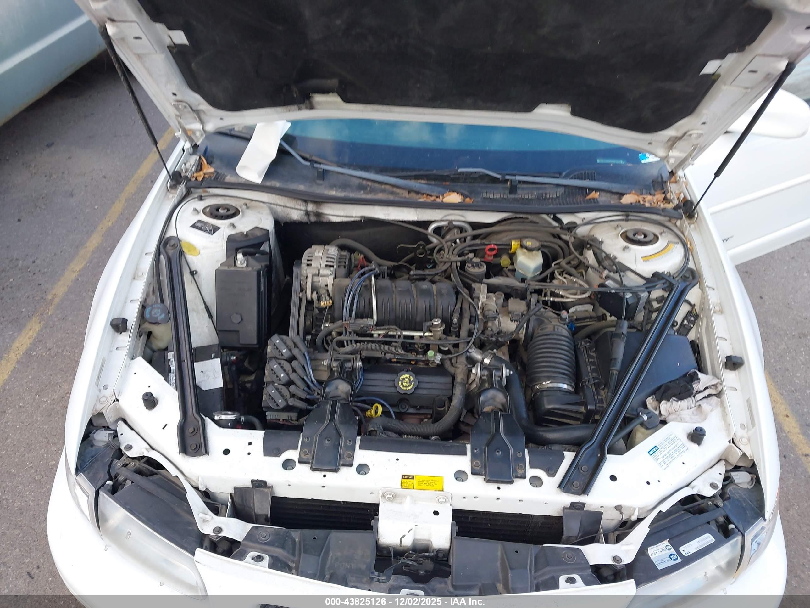 1998 Pontiac Grand Prix Gt Белый vin: 1G2WP52K9WF271277
