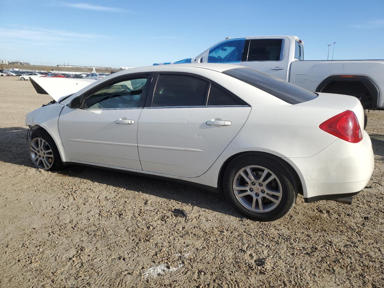 2005 Pontiac G6 White vin: 1G2ZG528854115985